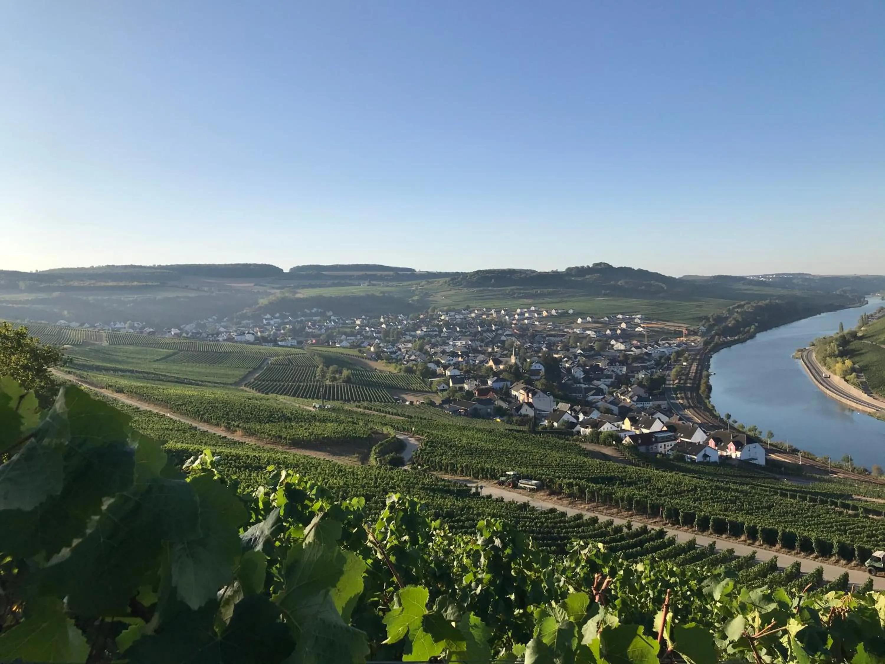 Natural landscape in Gästehaus und Weingut Bernd Frieden