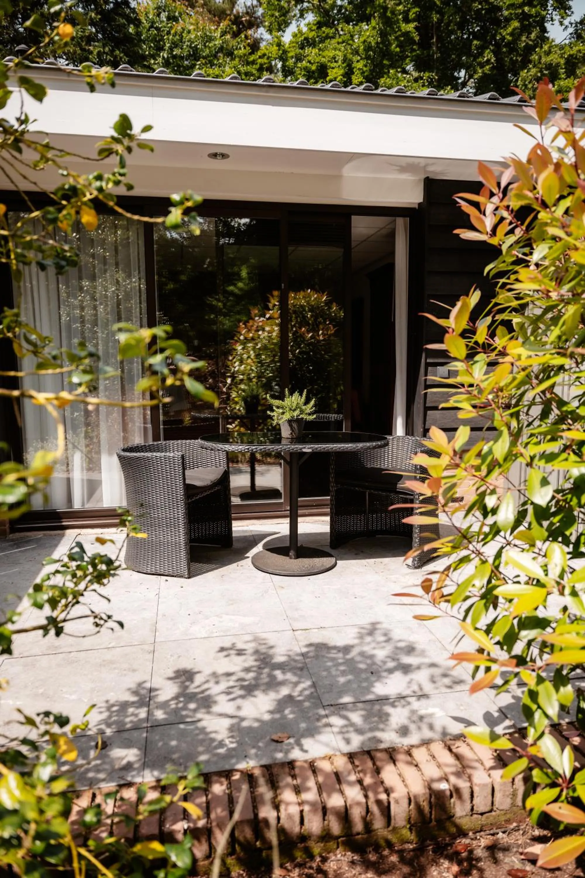 Natural landscape in De Lunterse Boer