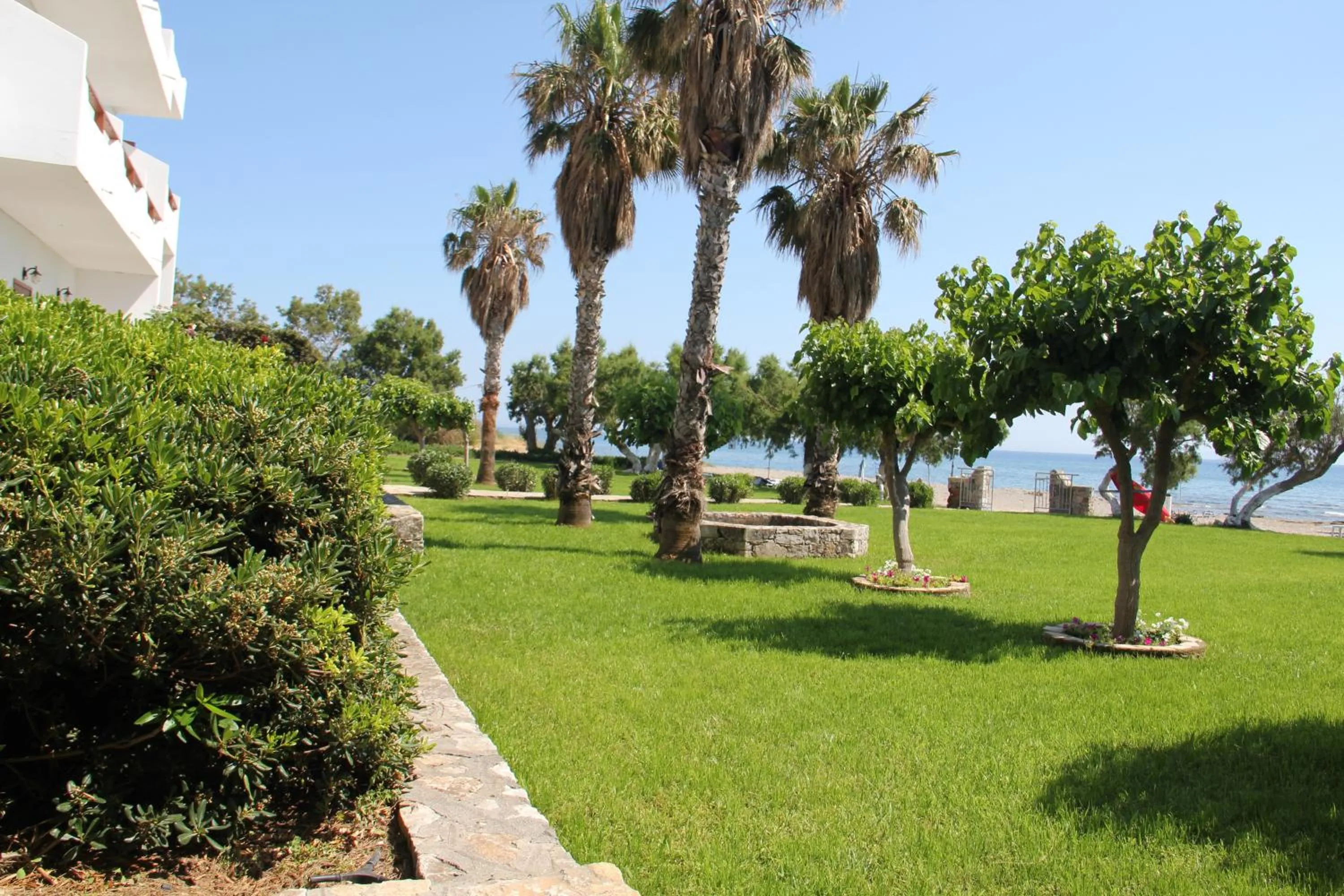 Garden in Studios Stavris