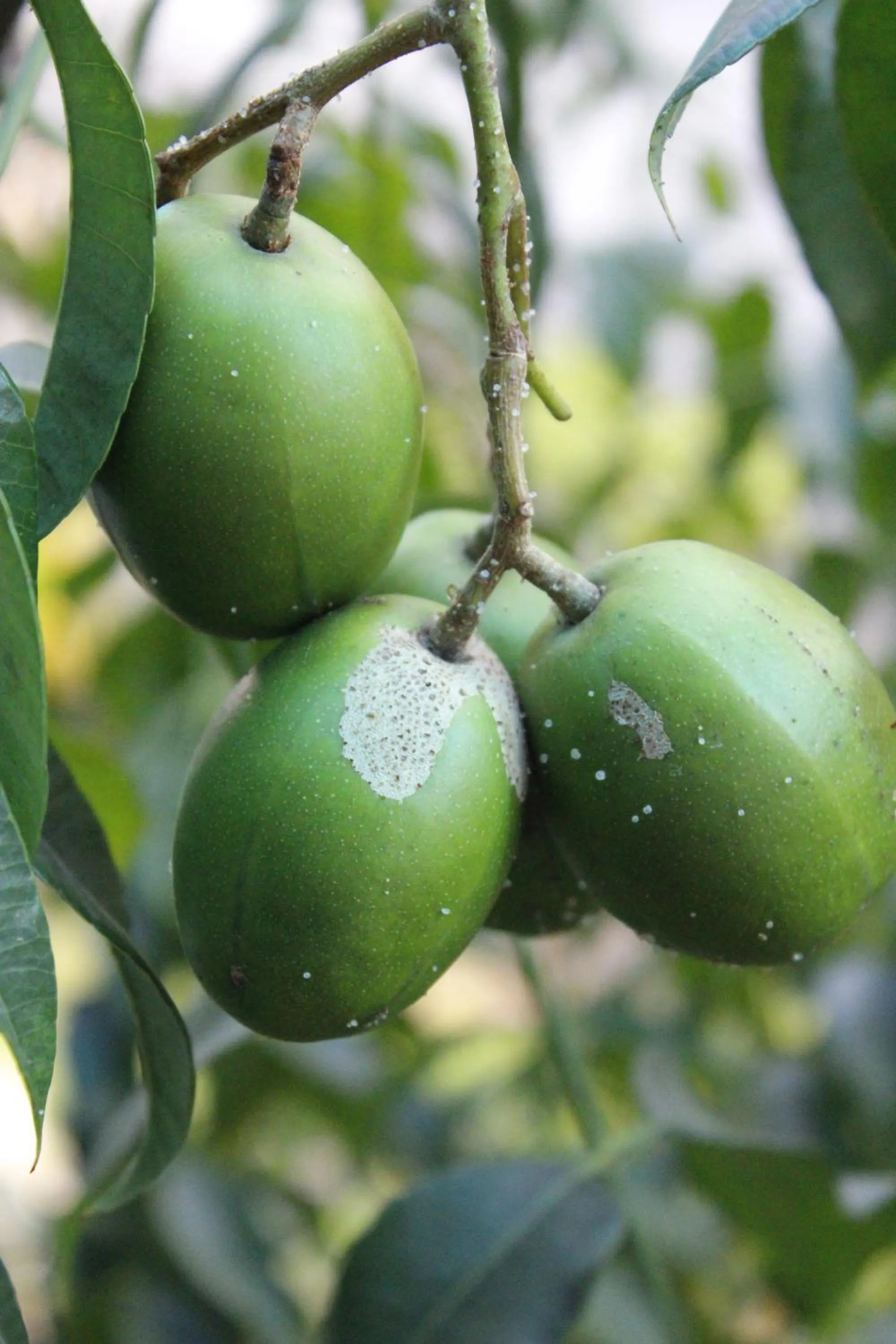 Airport J Dream Resort