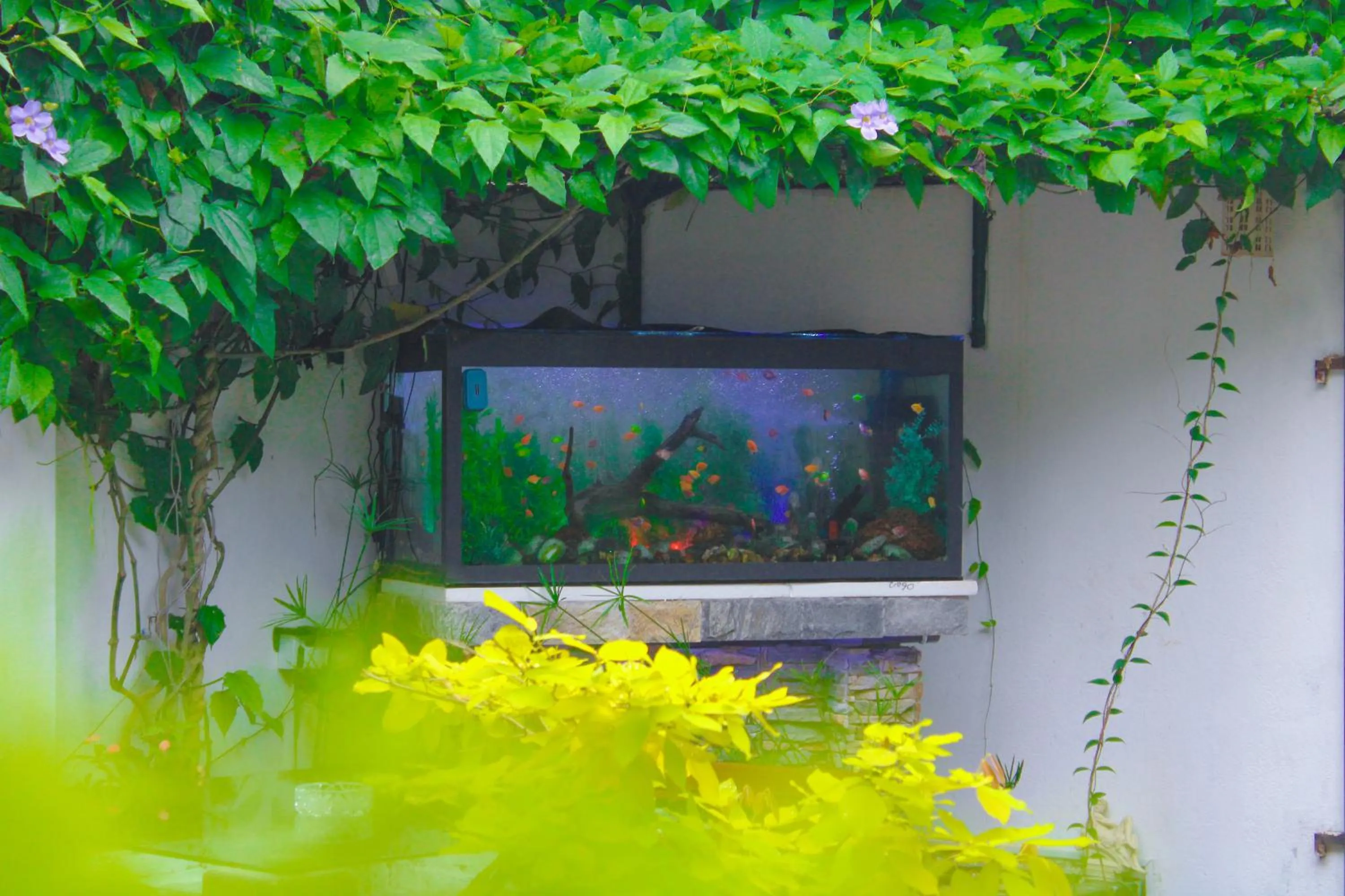 Airport J Dream Resort