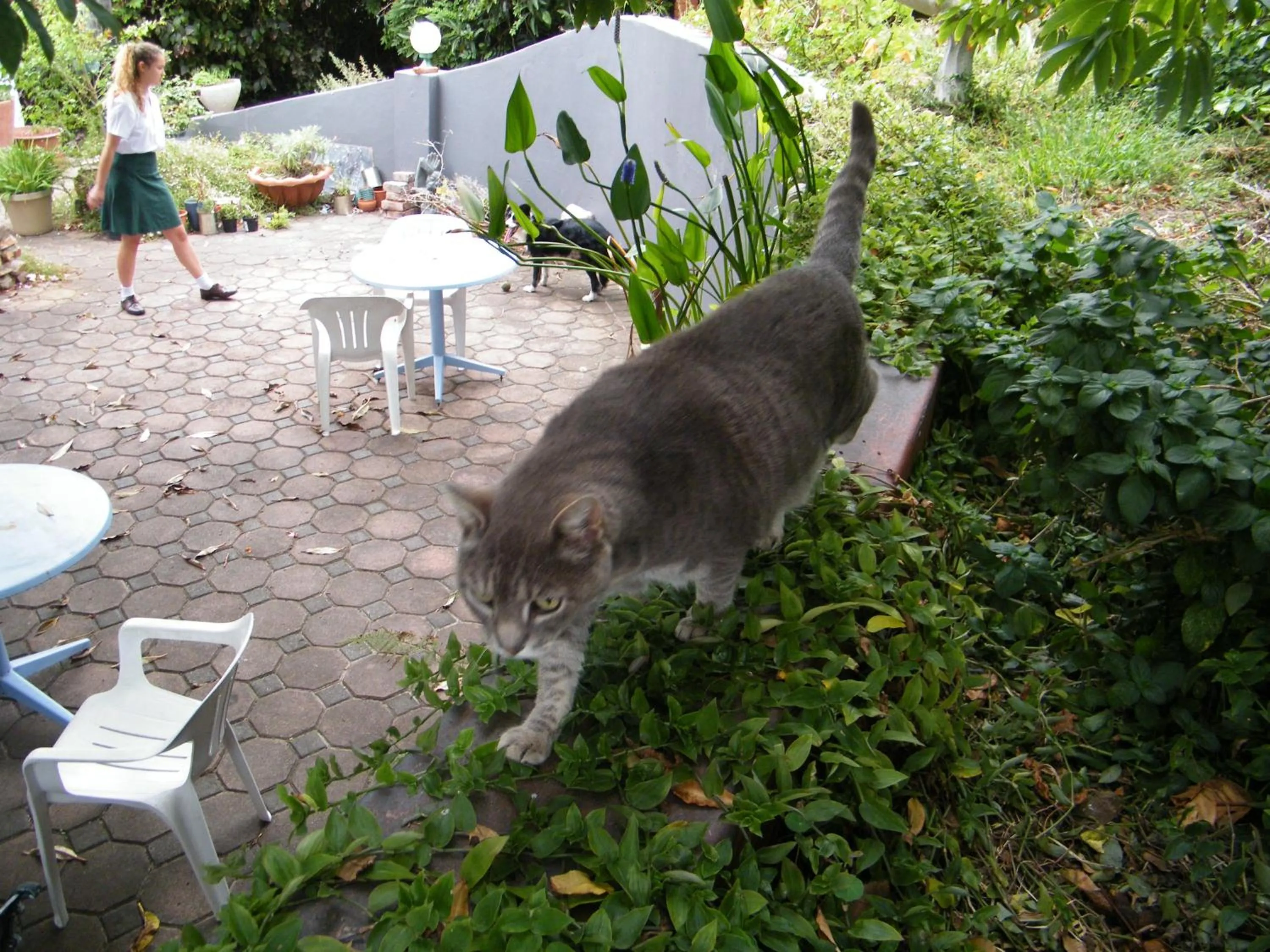 Garden in Valley Guest House