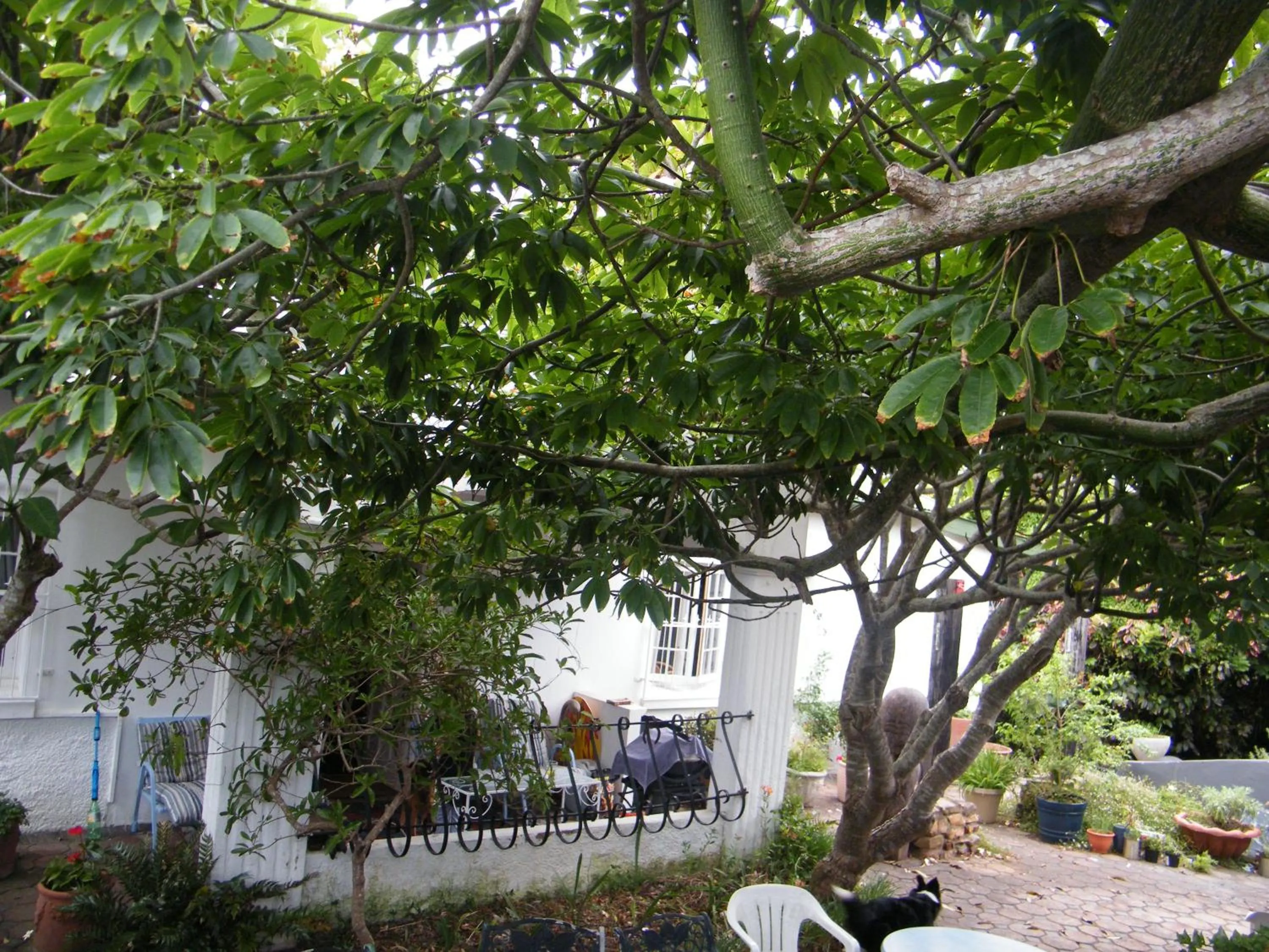 Facade/entrance in Valley Guest House