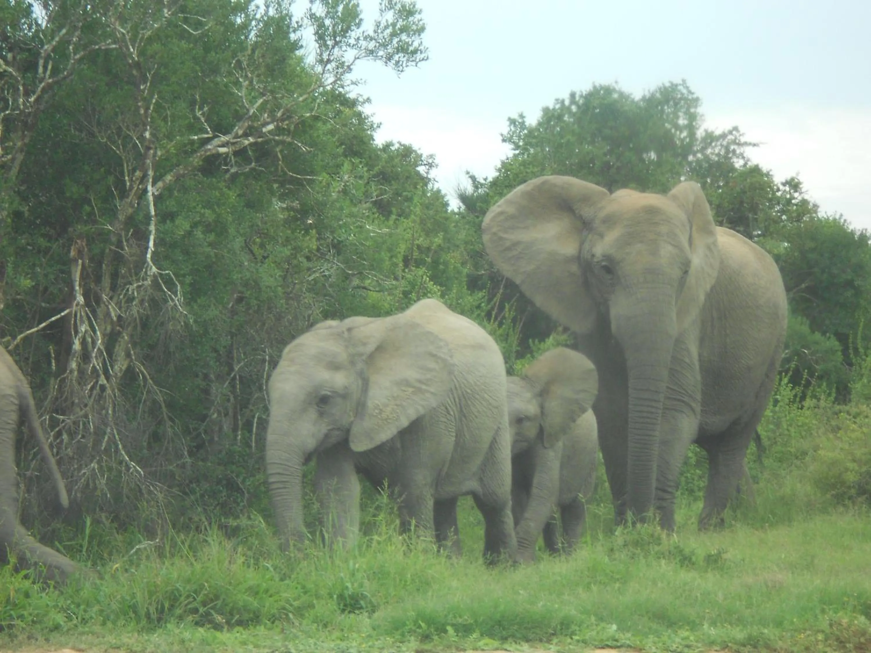 Off site in Valley Guest House