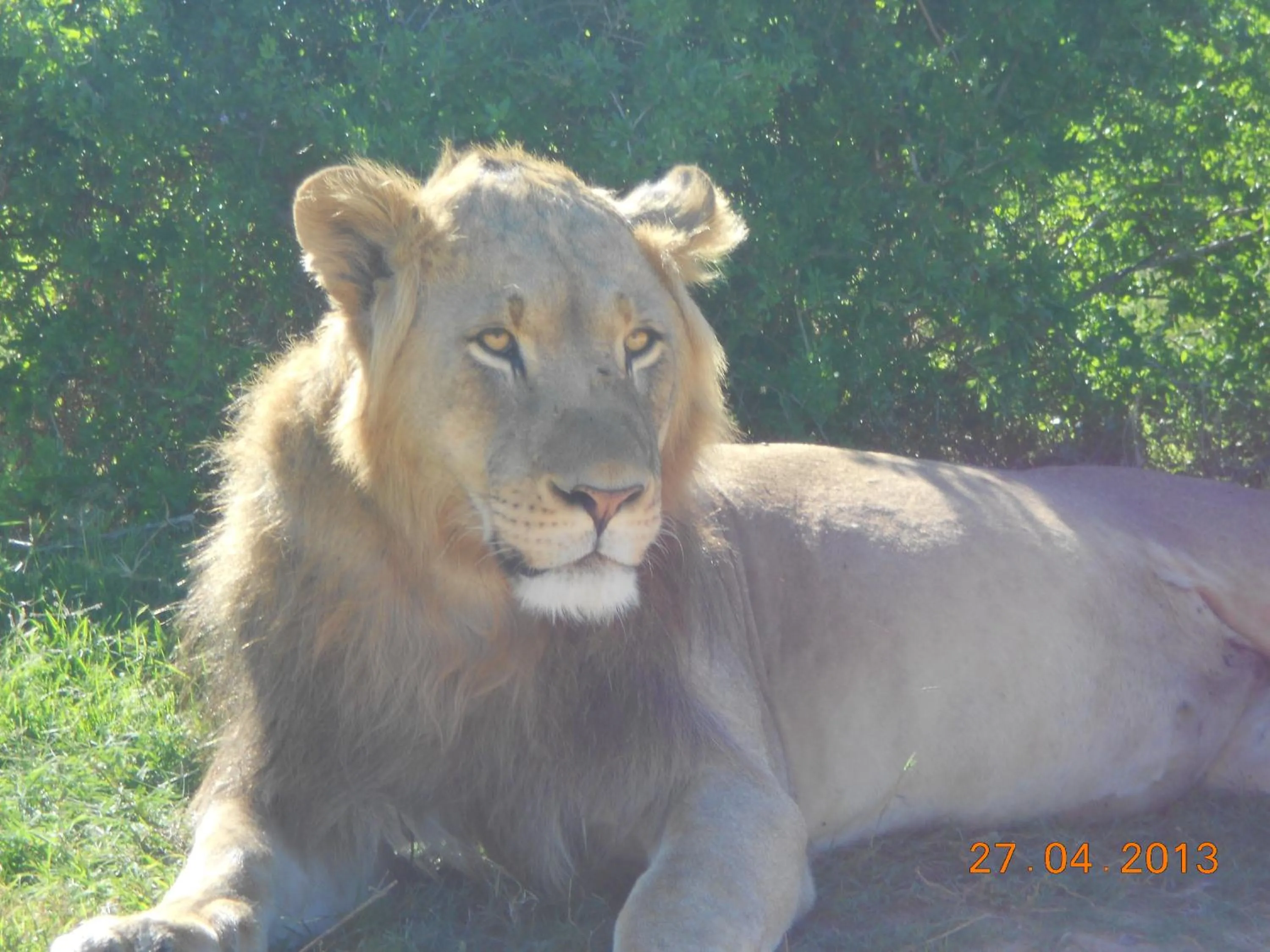 Off site in Valley Guest House