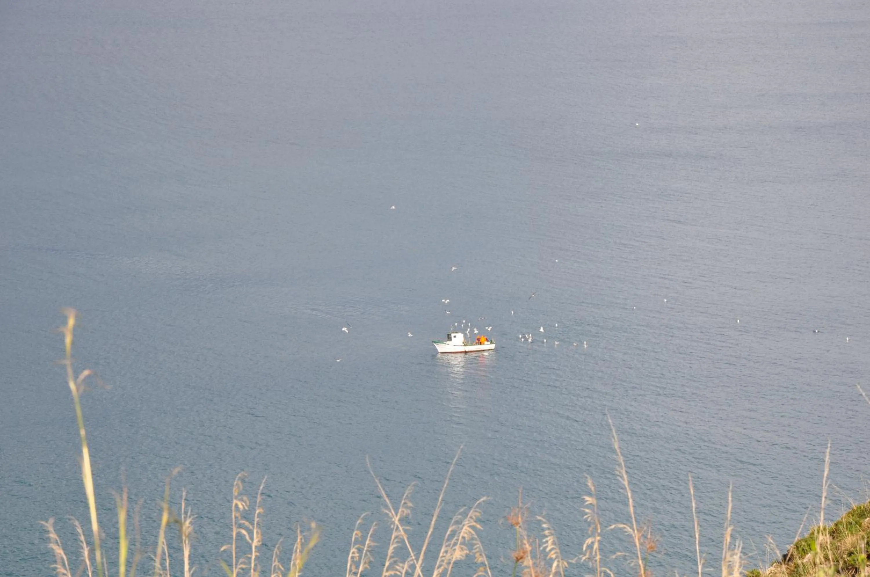 Sea view in Villa Cala Rossa Antonella