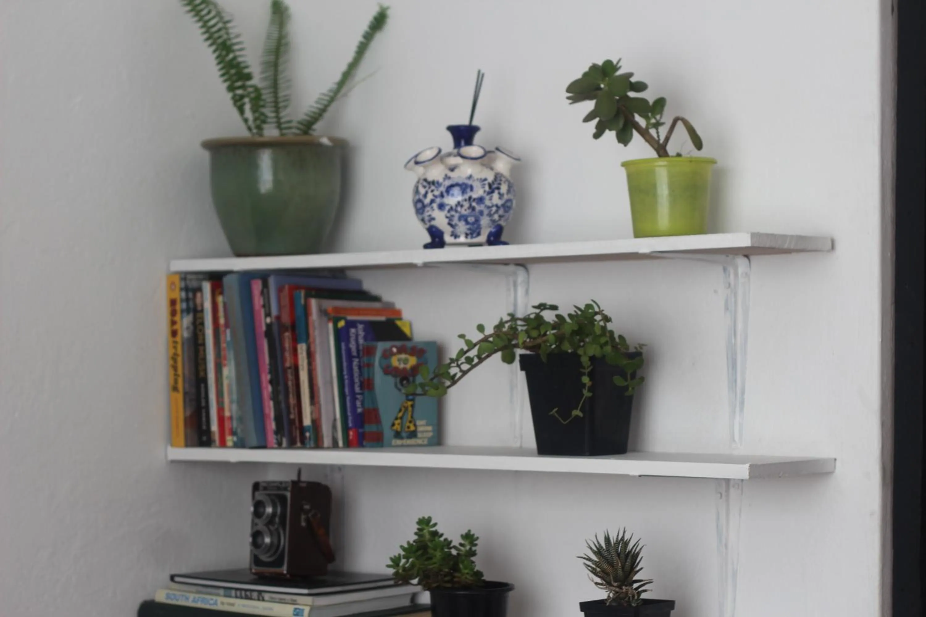 Area and facilities in CURIOCITY Backpackers Johannesburg