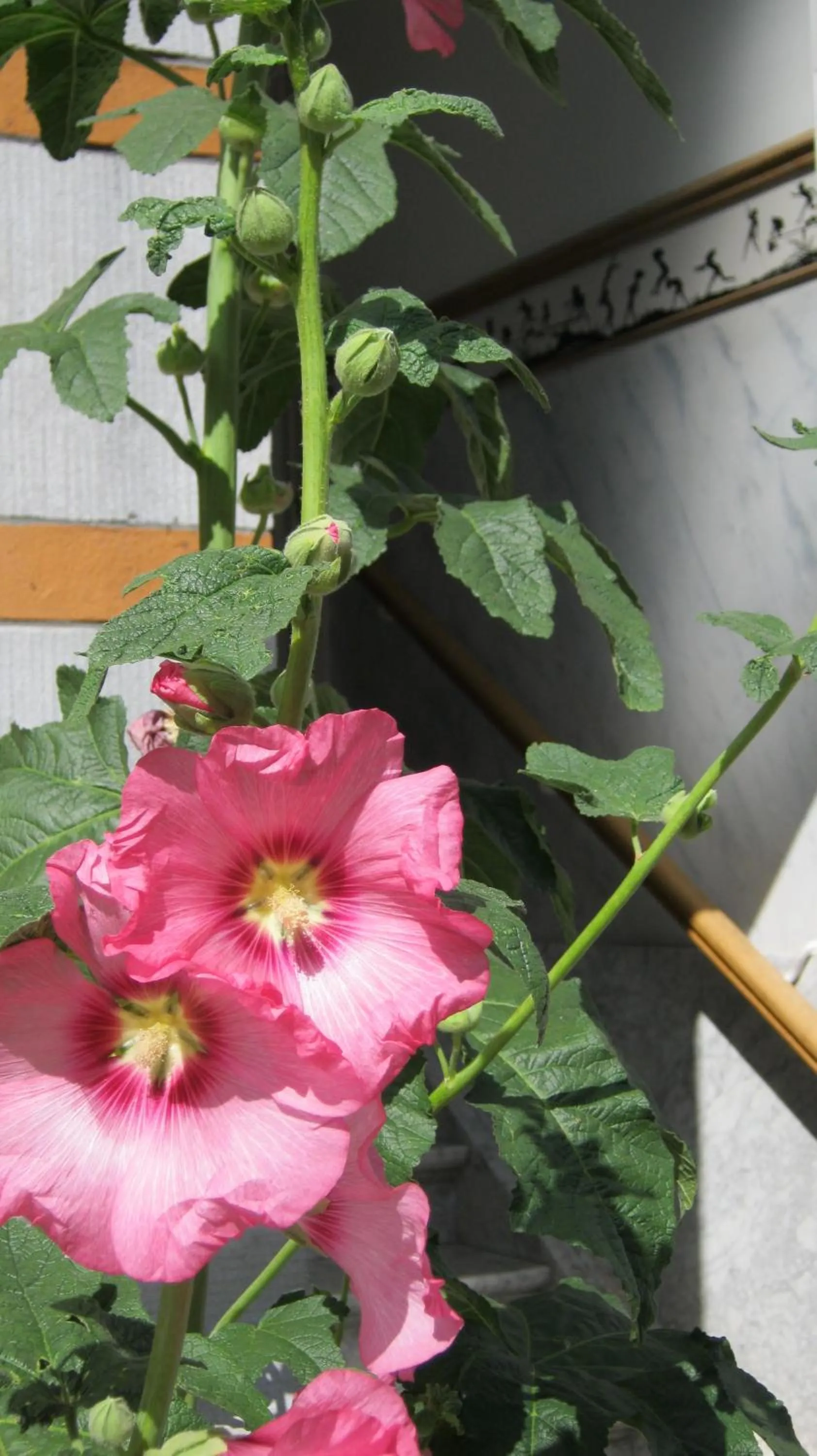 Facade/entrance in B&B Matin Tranquille