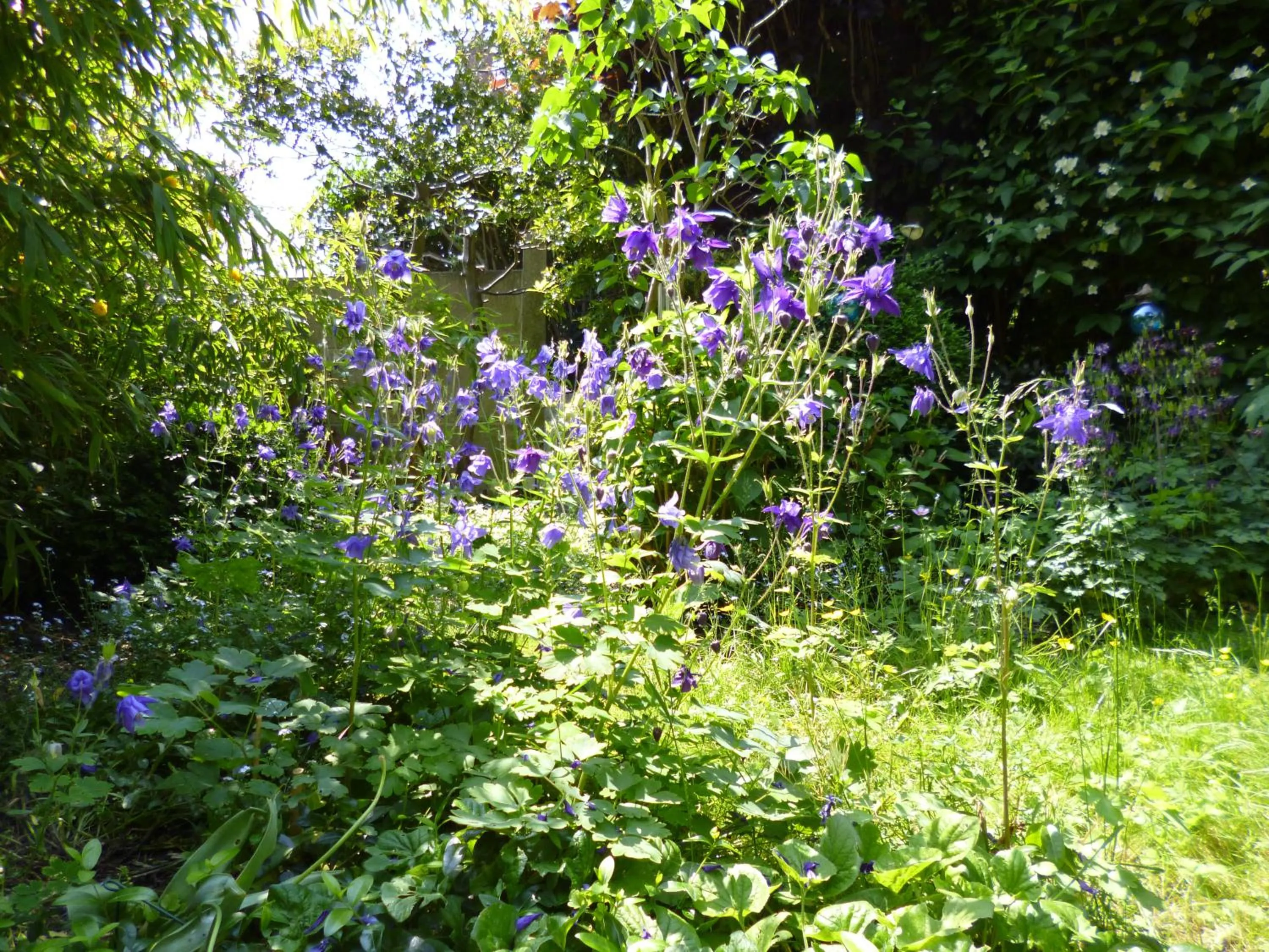 View (from property/room) in B&B Matin Tranquille