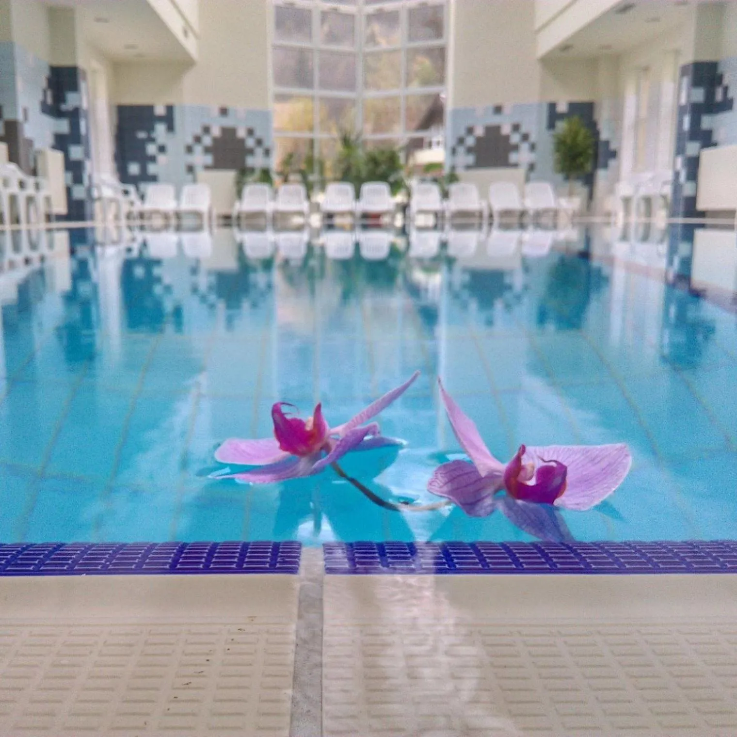 Spa and wellness centre/facilities in Pensiunea Vanatorul