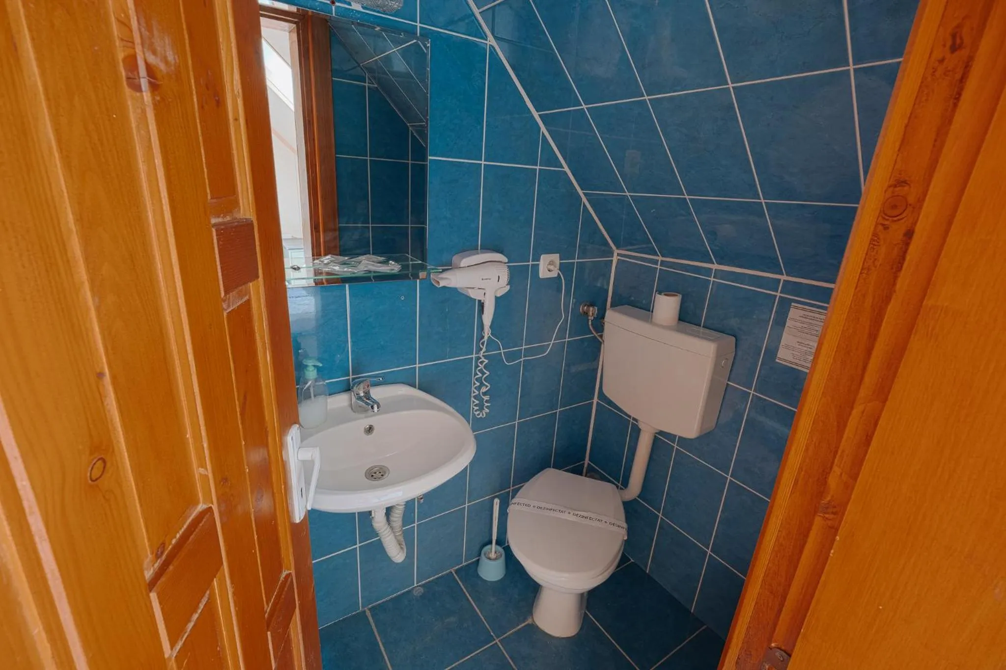 Shower in Pensiunea Vanatorul