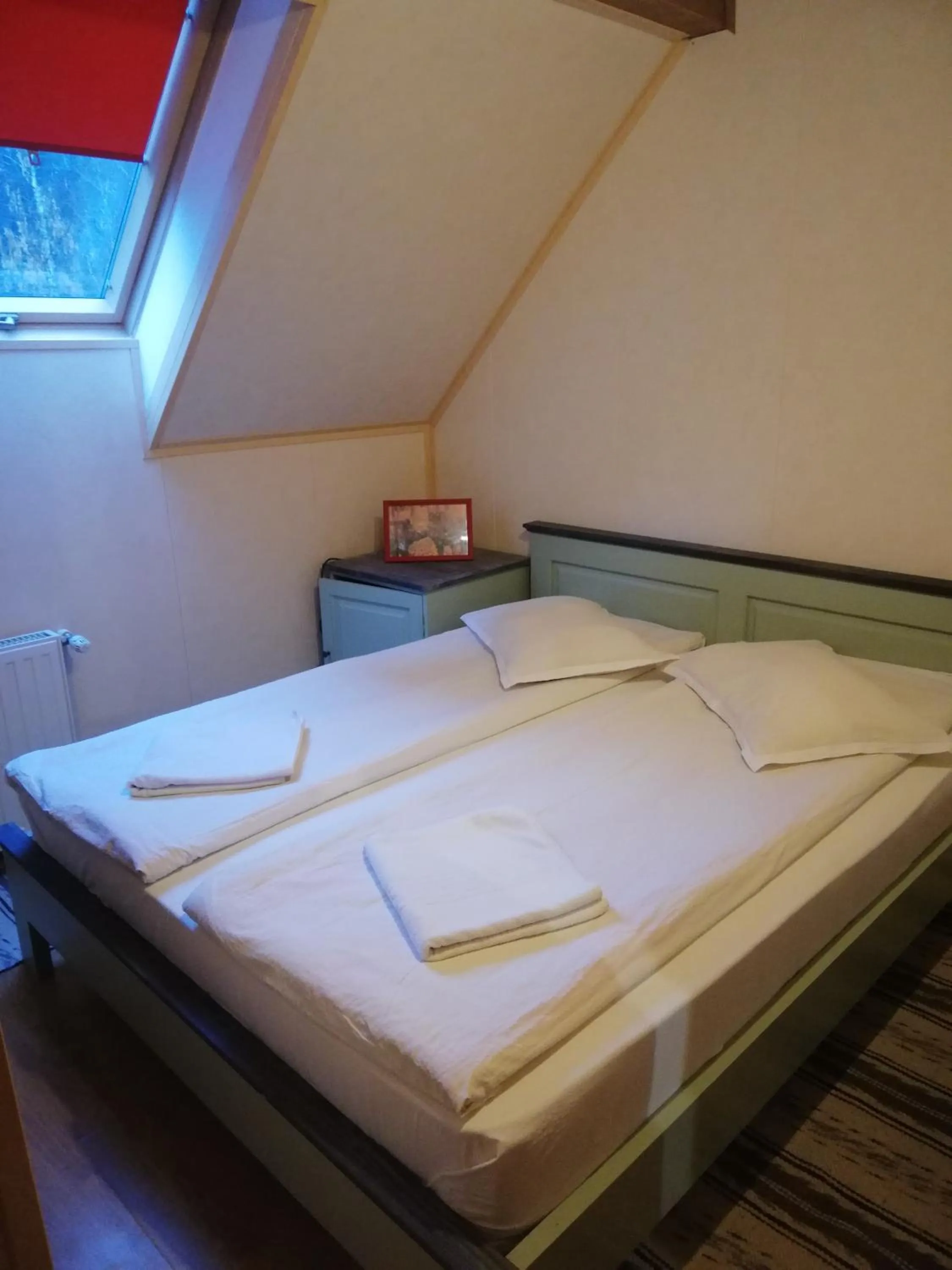 View (from property/room), Bed in Pensiunea Vanatorul