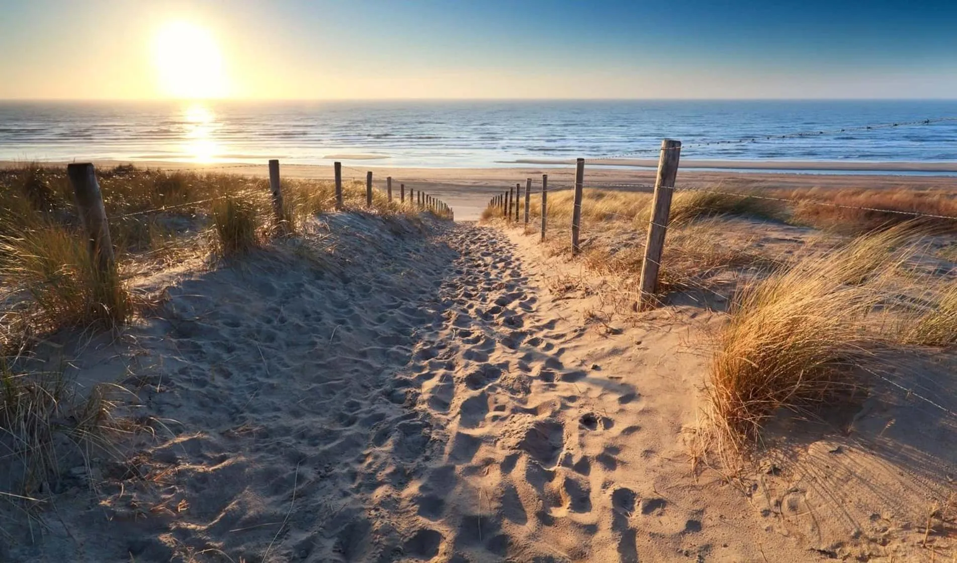 Beach in Camping de Brem