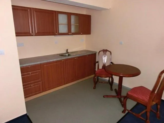 Kitchen or kitchenette in Penzion Mova