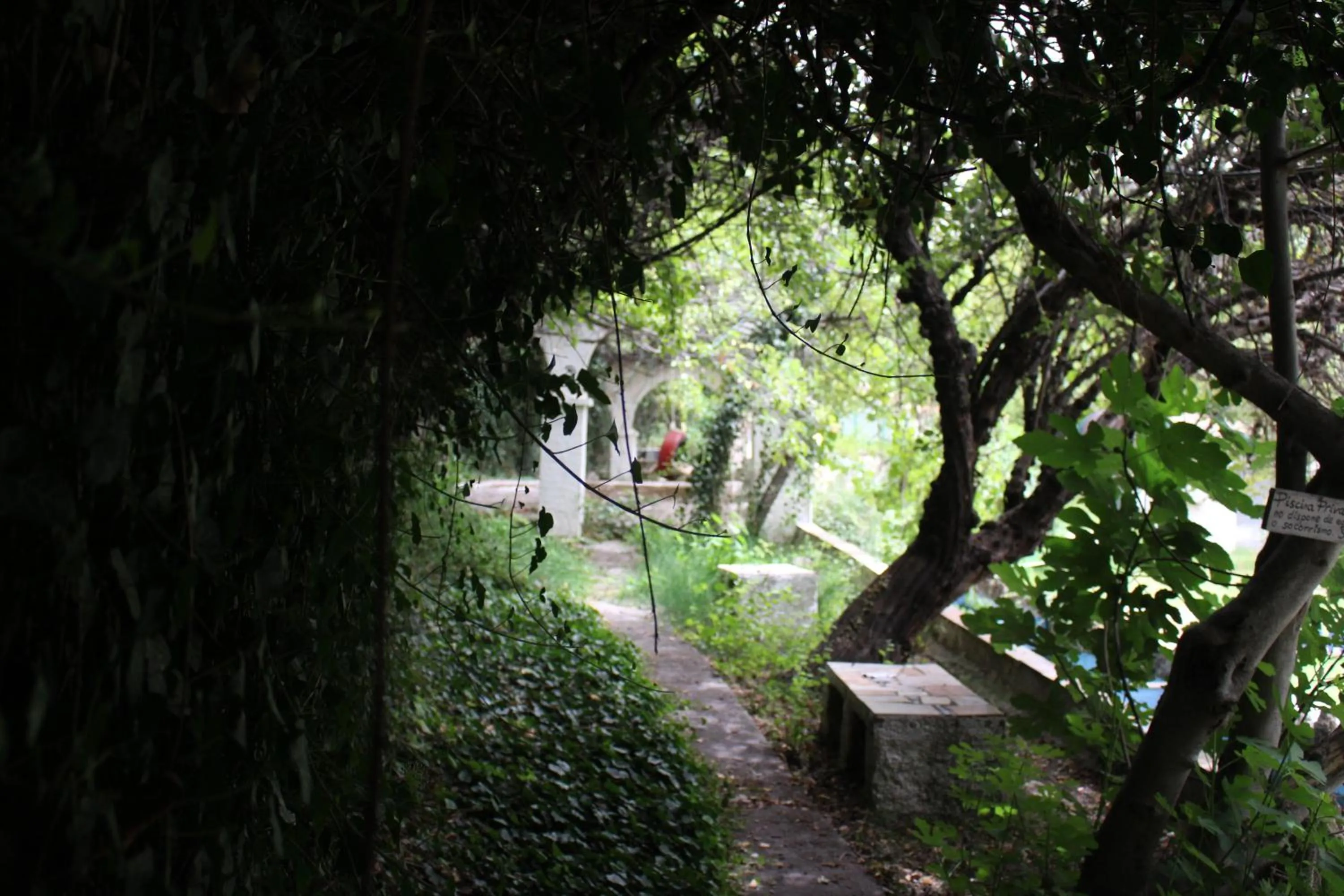 Day in Chorros del Río Mundo