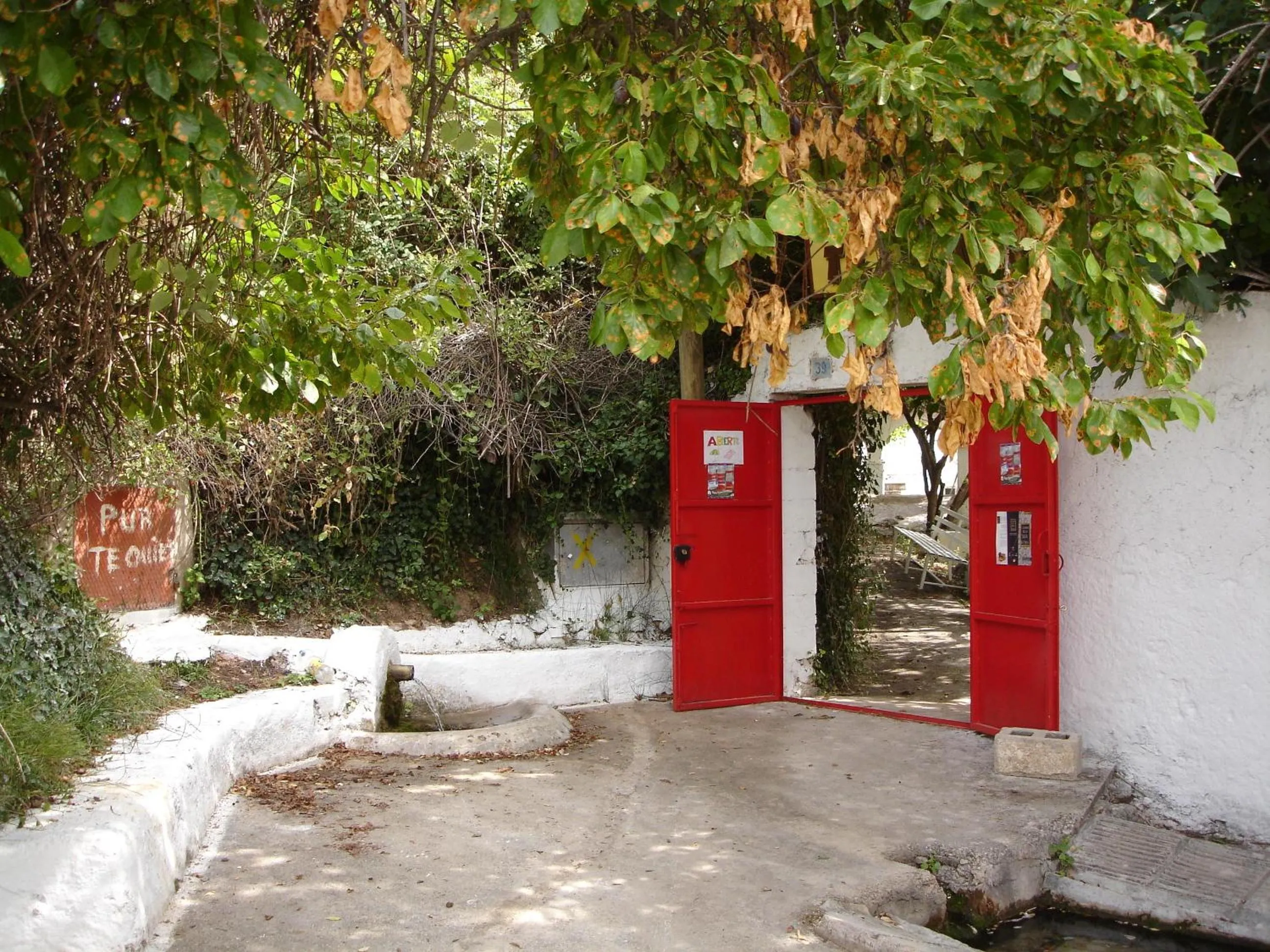 Other in Chorros del Río Mundo