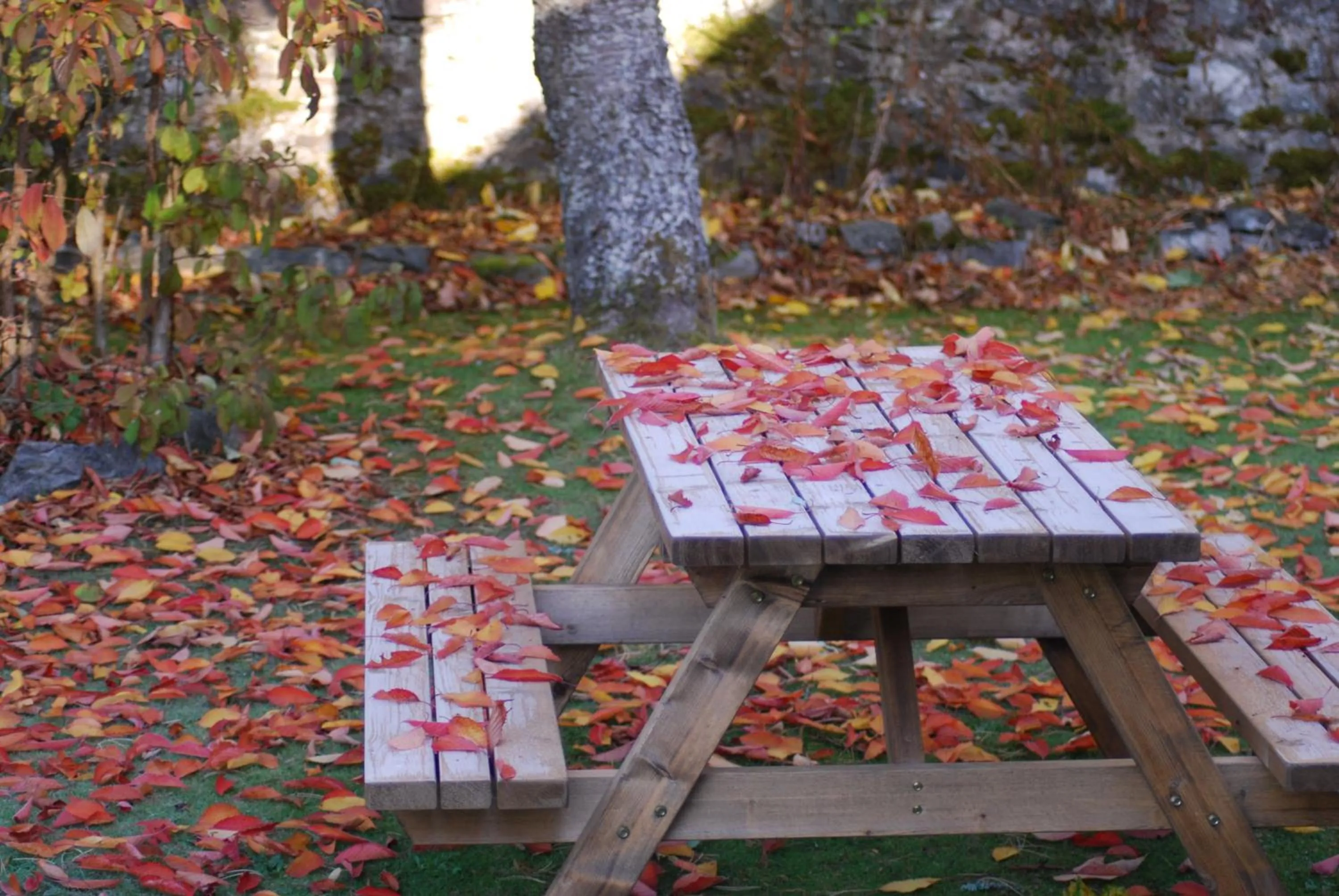 Garden in Columba House