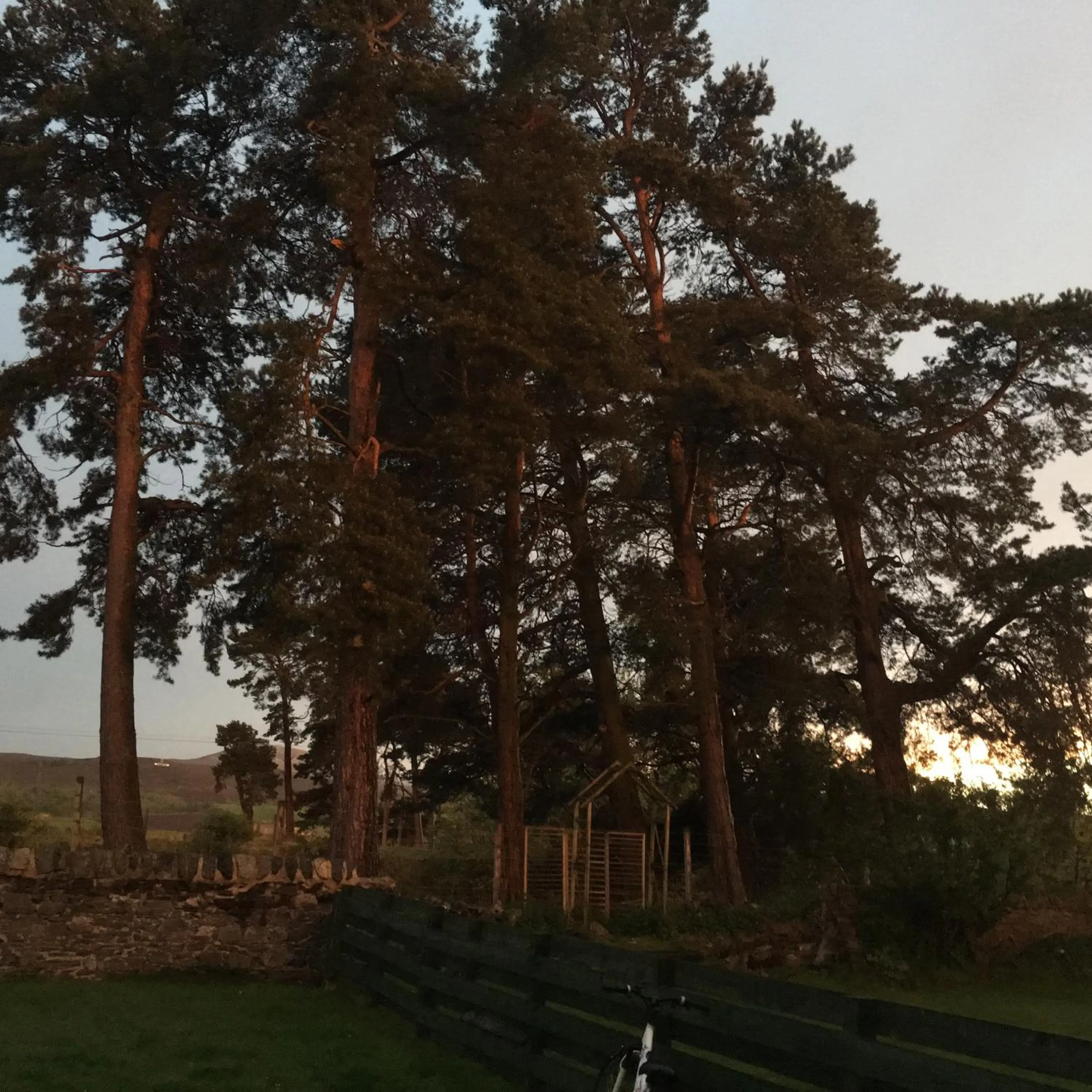 Other in Columba House