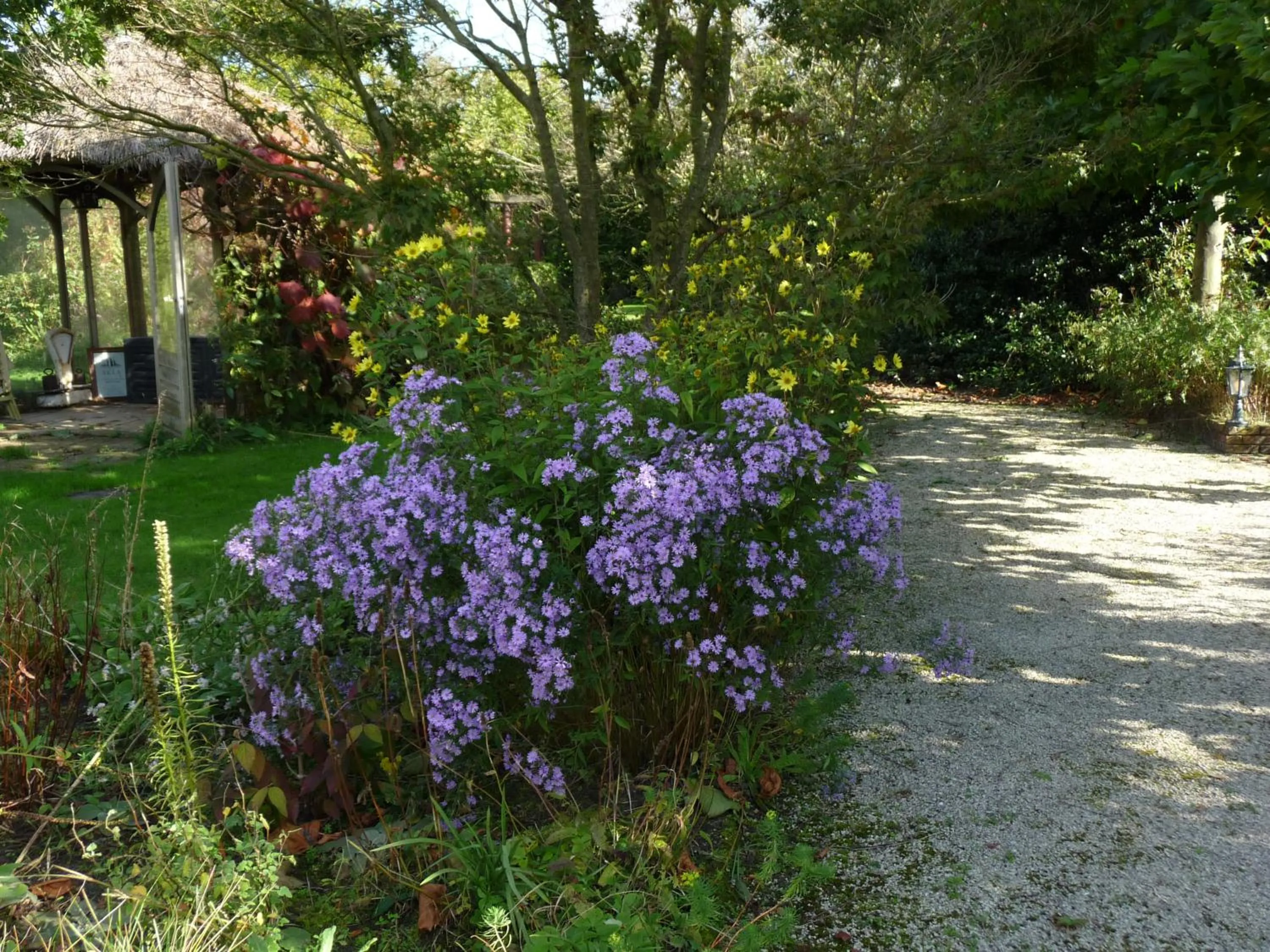 Garden in Selatuinen