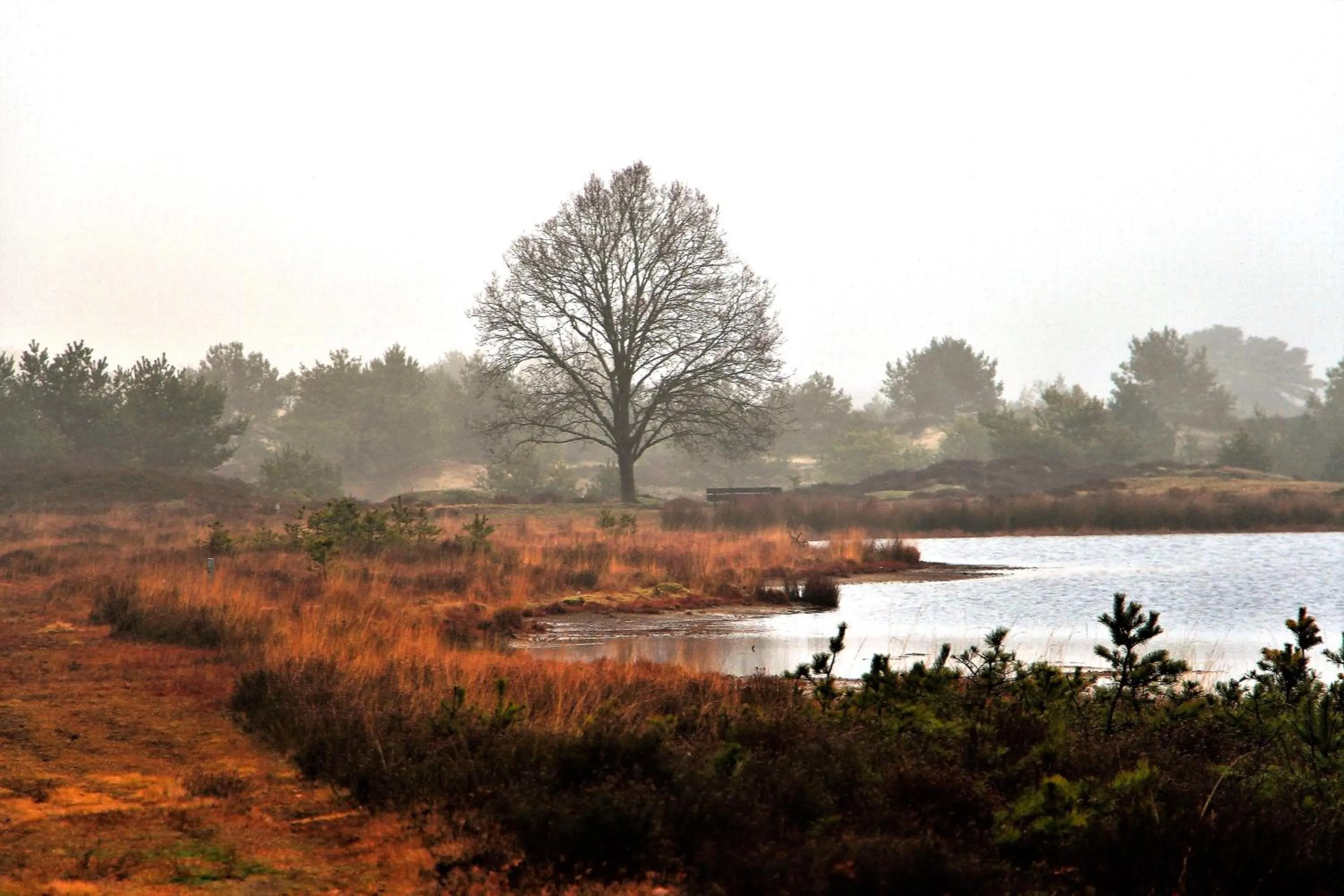 Natural landscape in Selatuinen
