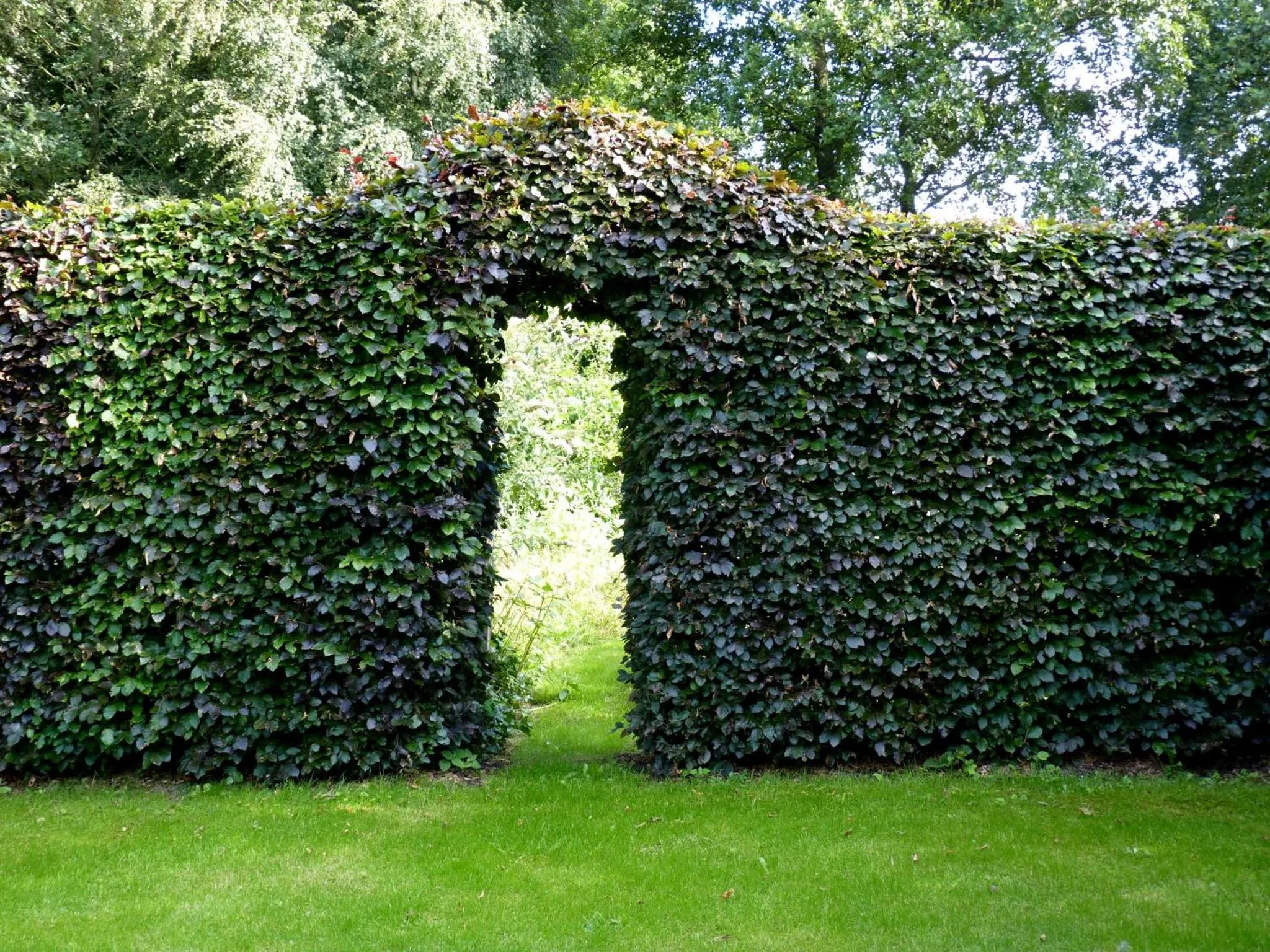 Garden in Selatuinen