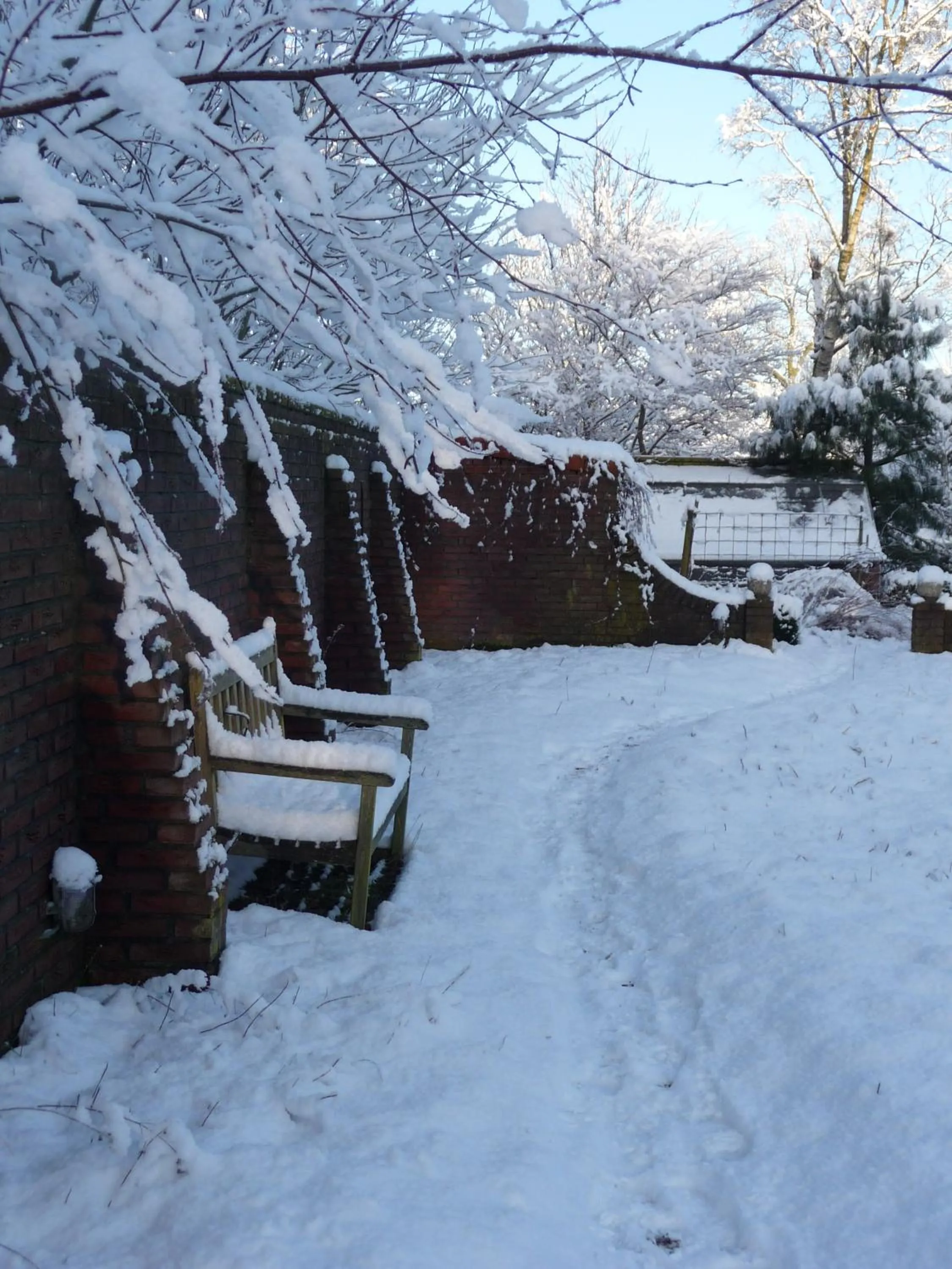 Garden in Selatuinen
