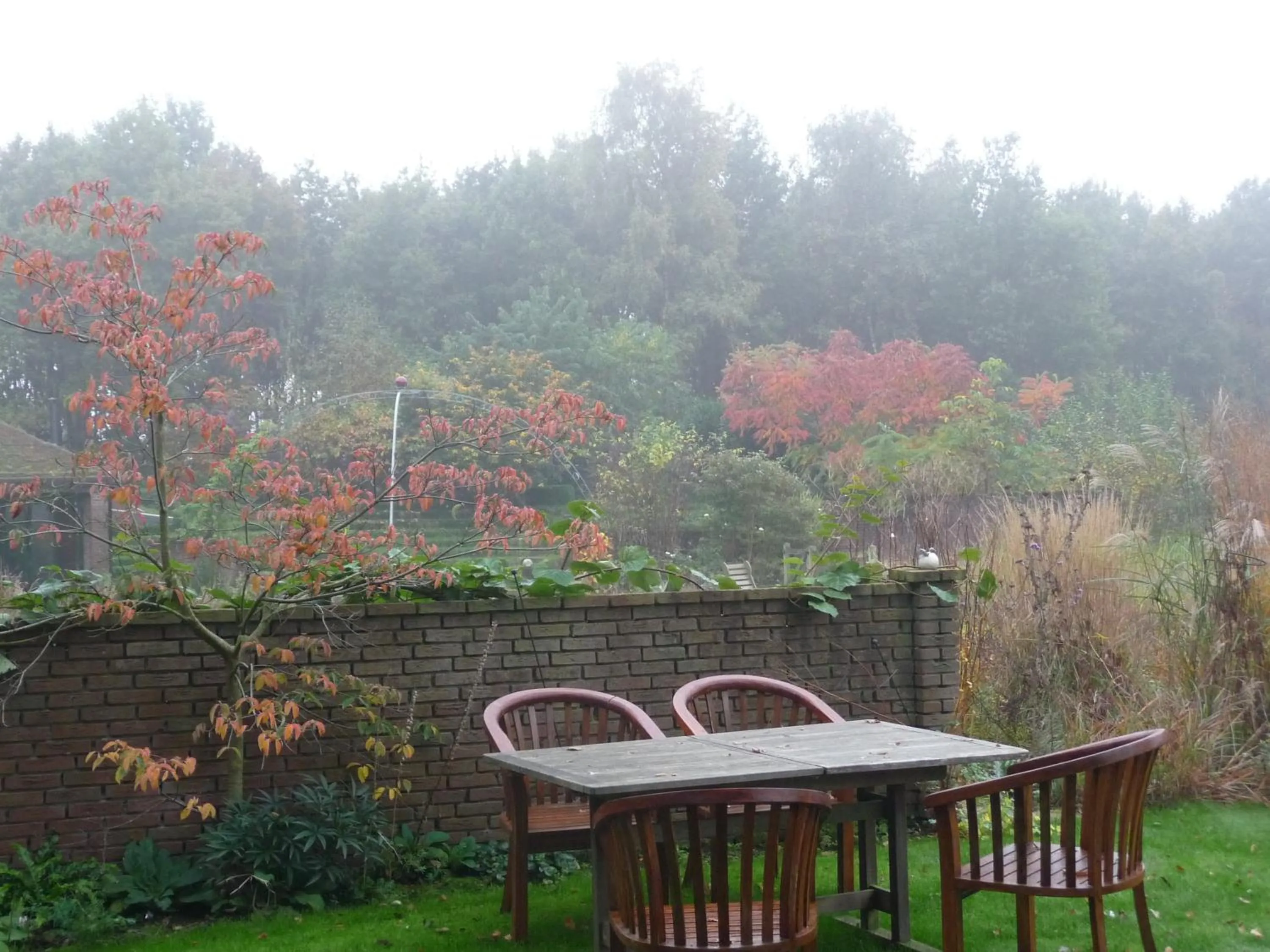 Garden in Selatuinen