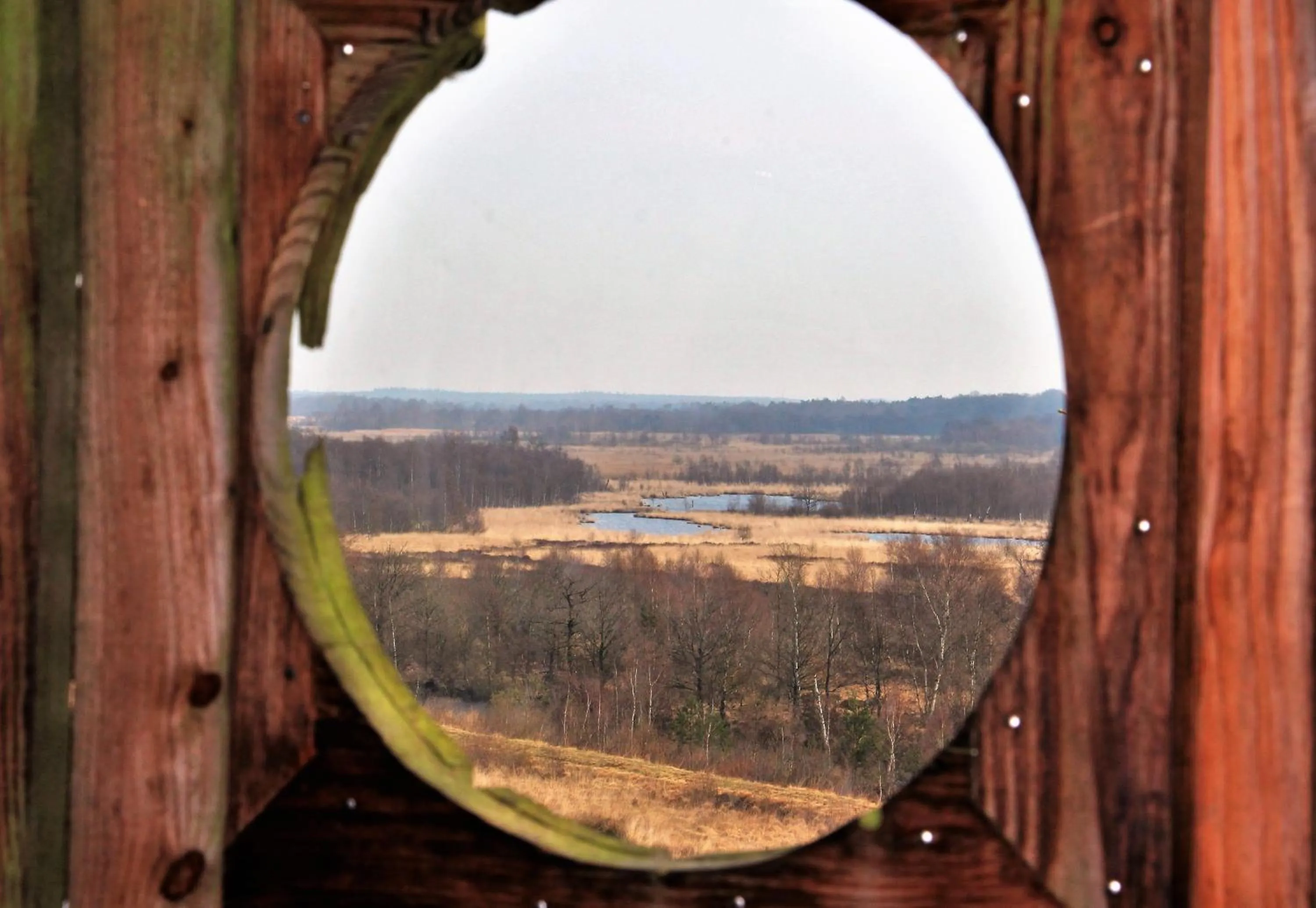 Area and facilities in Selatuinen