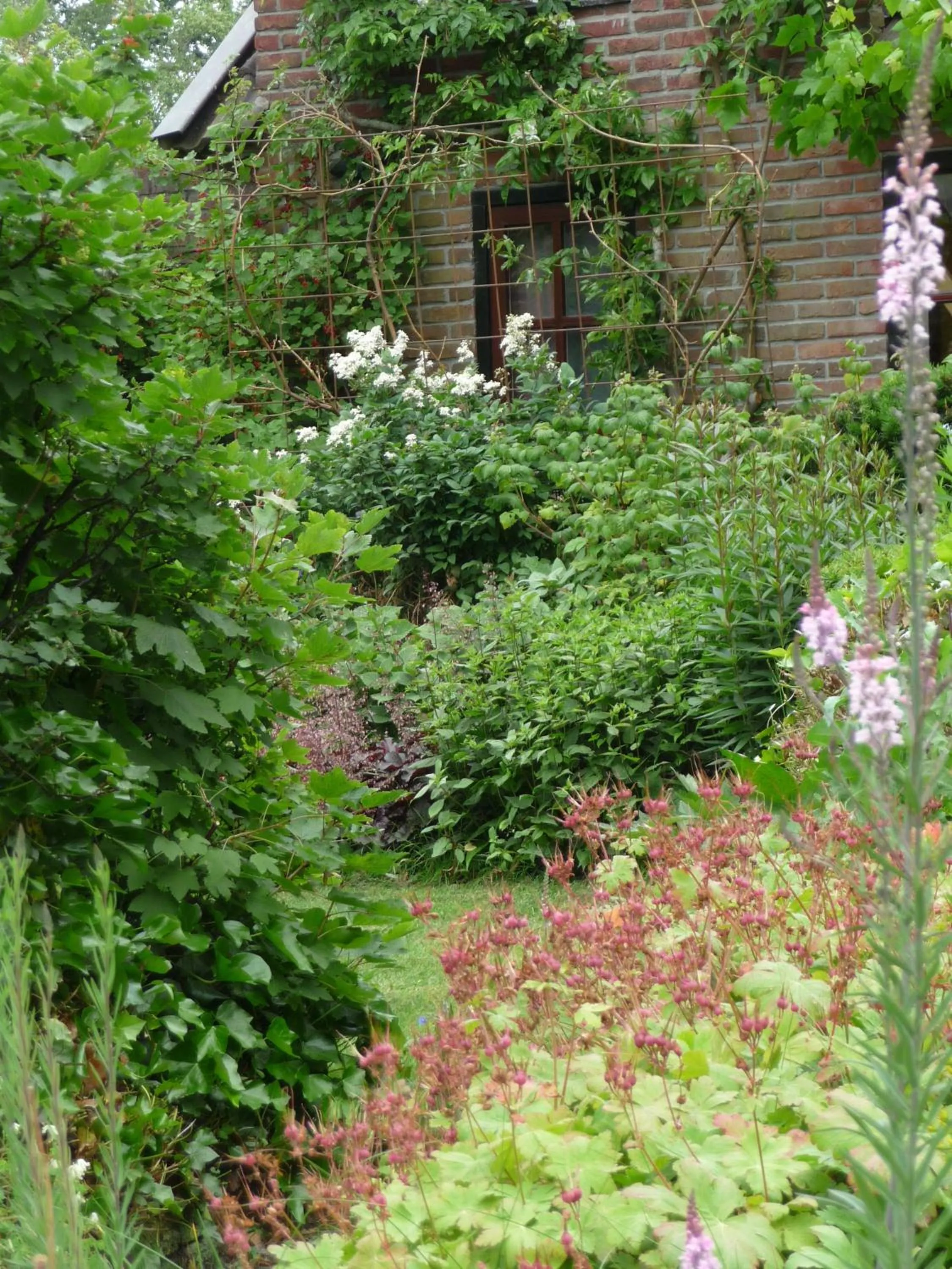 Garden in Selatuinen
