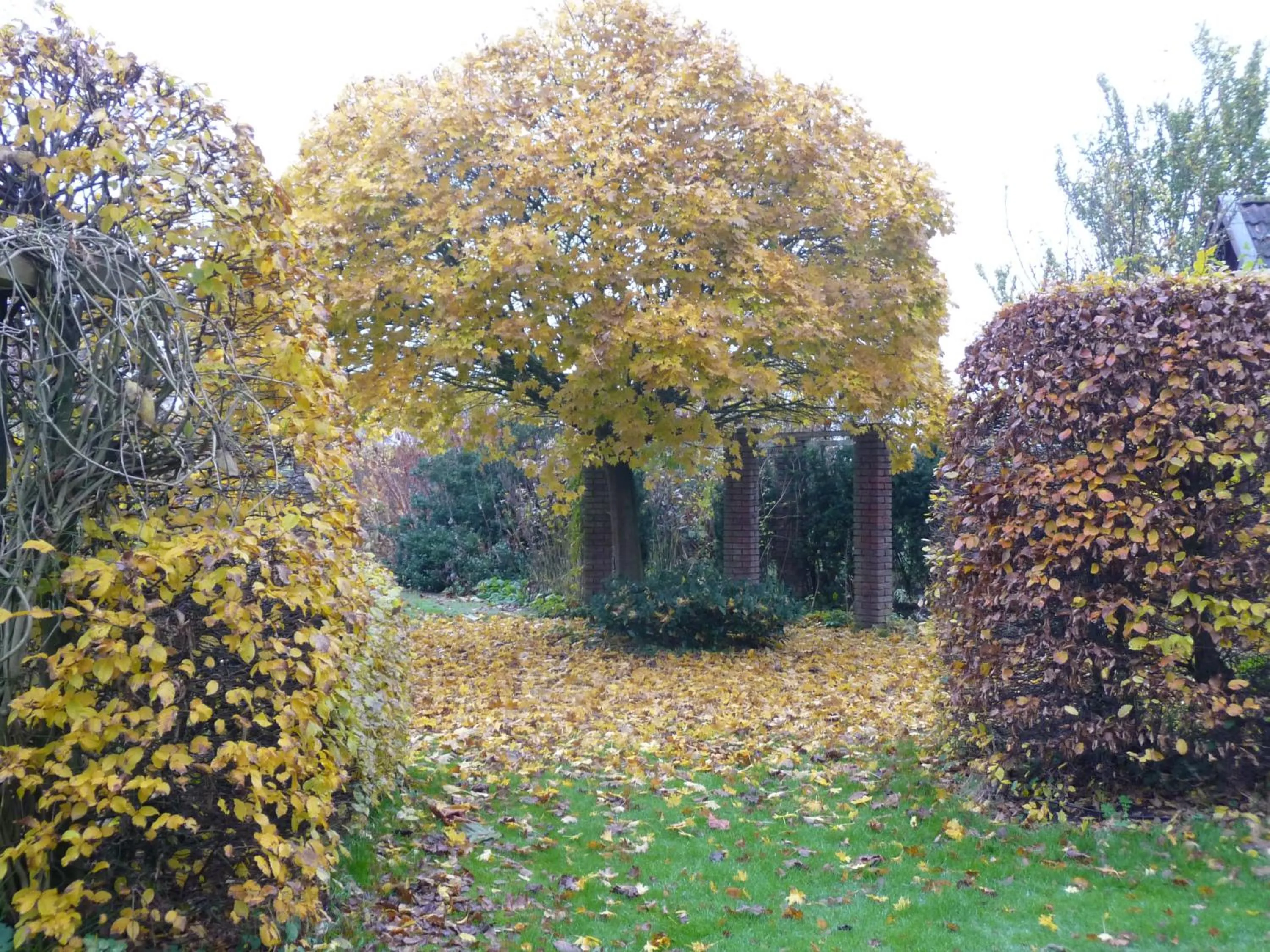 Garden in Selatuinen