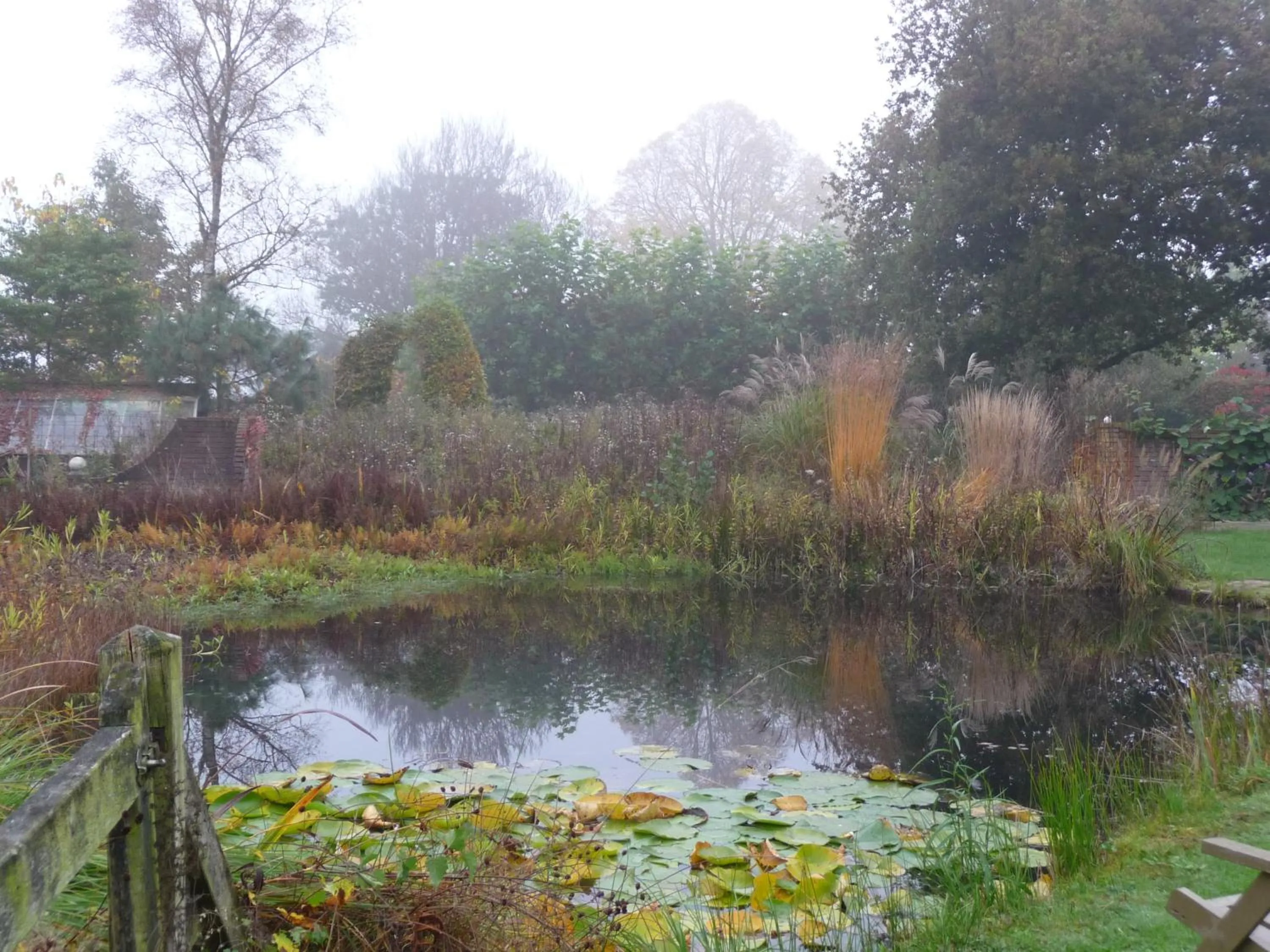 Garden in Selatuinen
