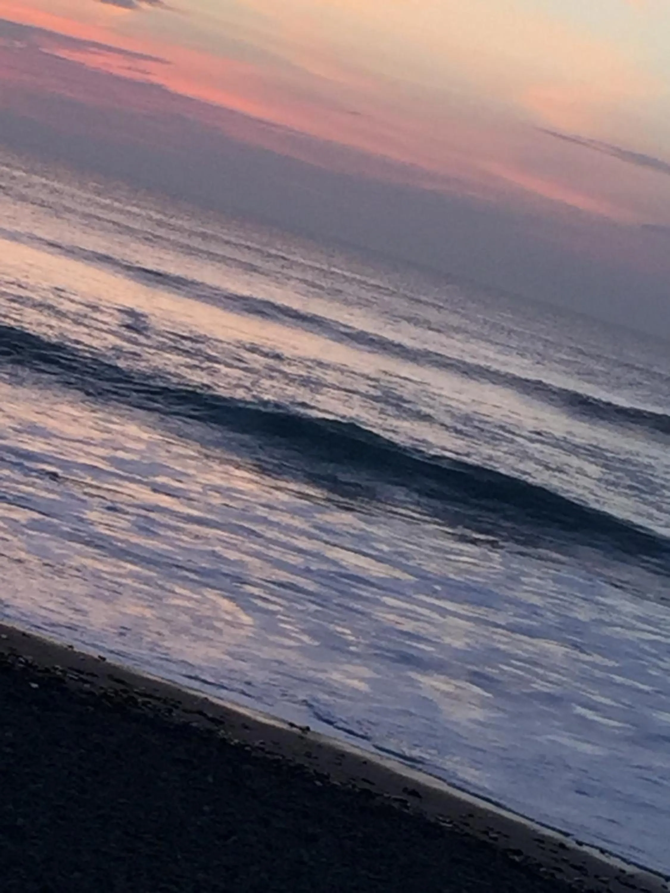 Beach in Sunrise Guest House