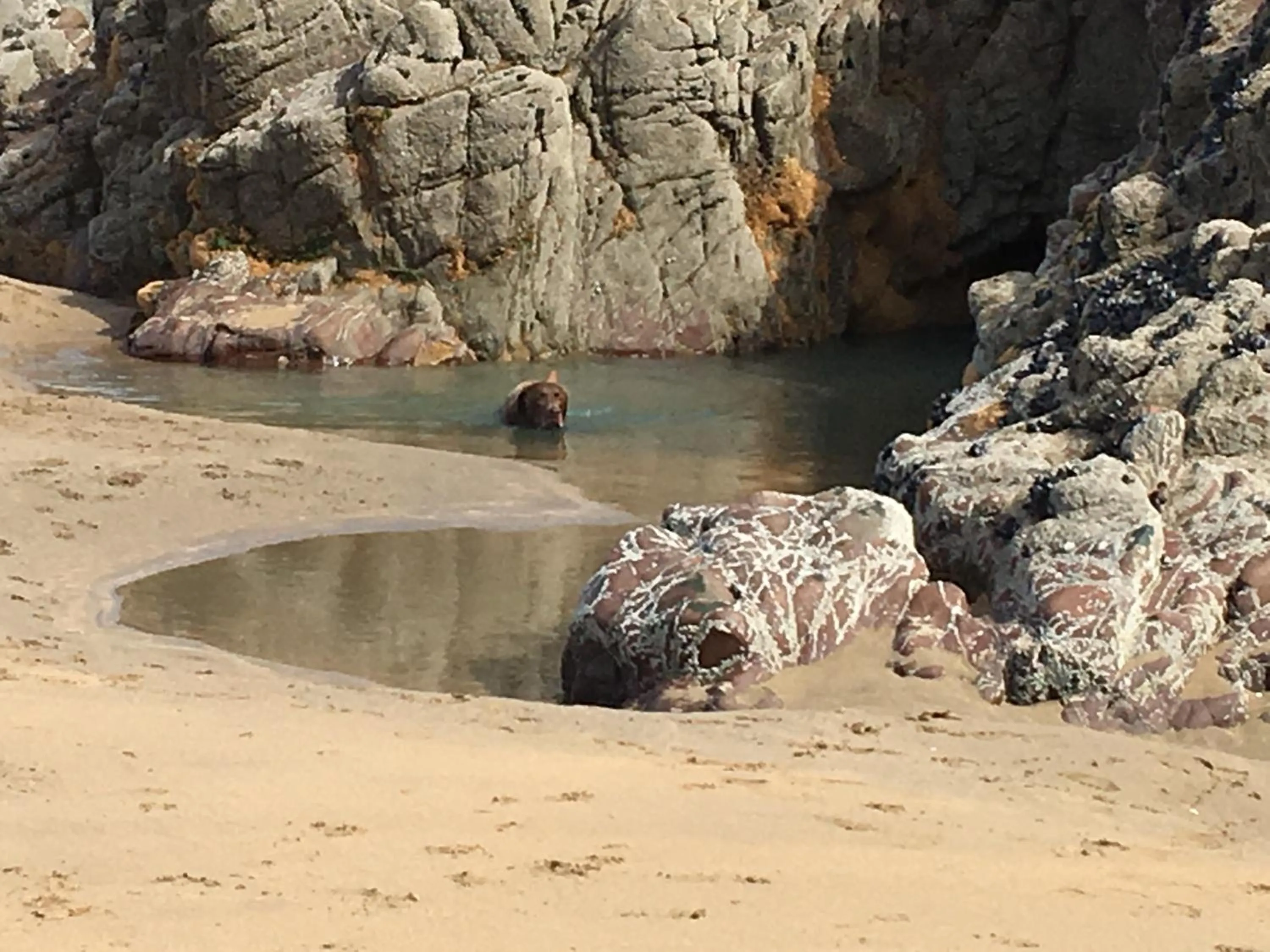 Beach in Sunrise Guest House