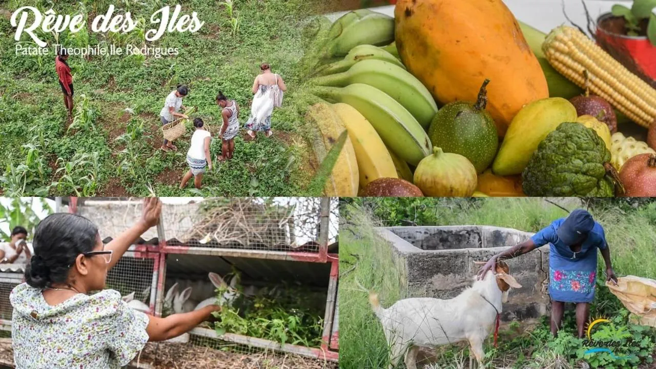 Rêve des Îles Guesthouse