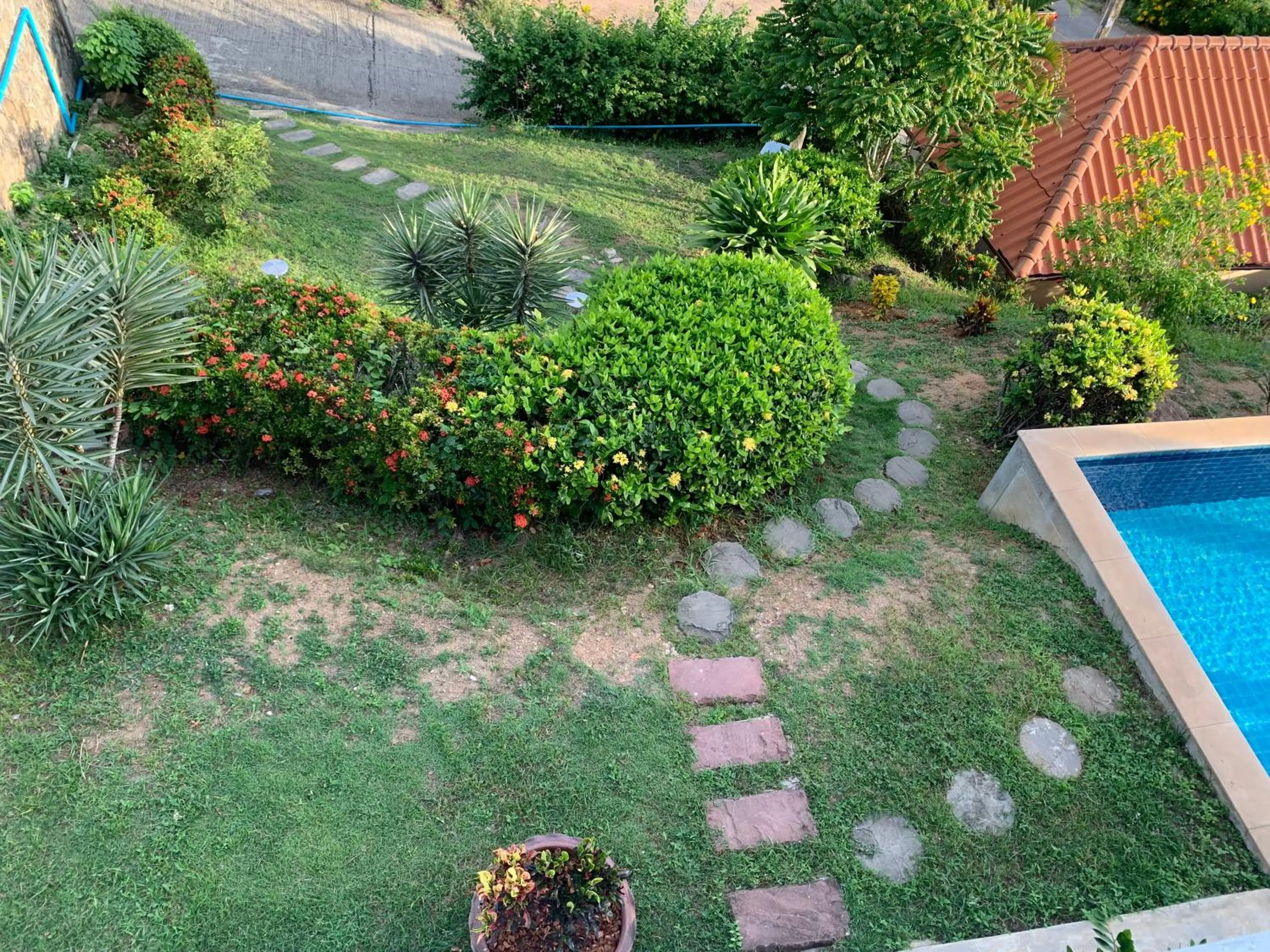 Garden in Scan House Apartment