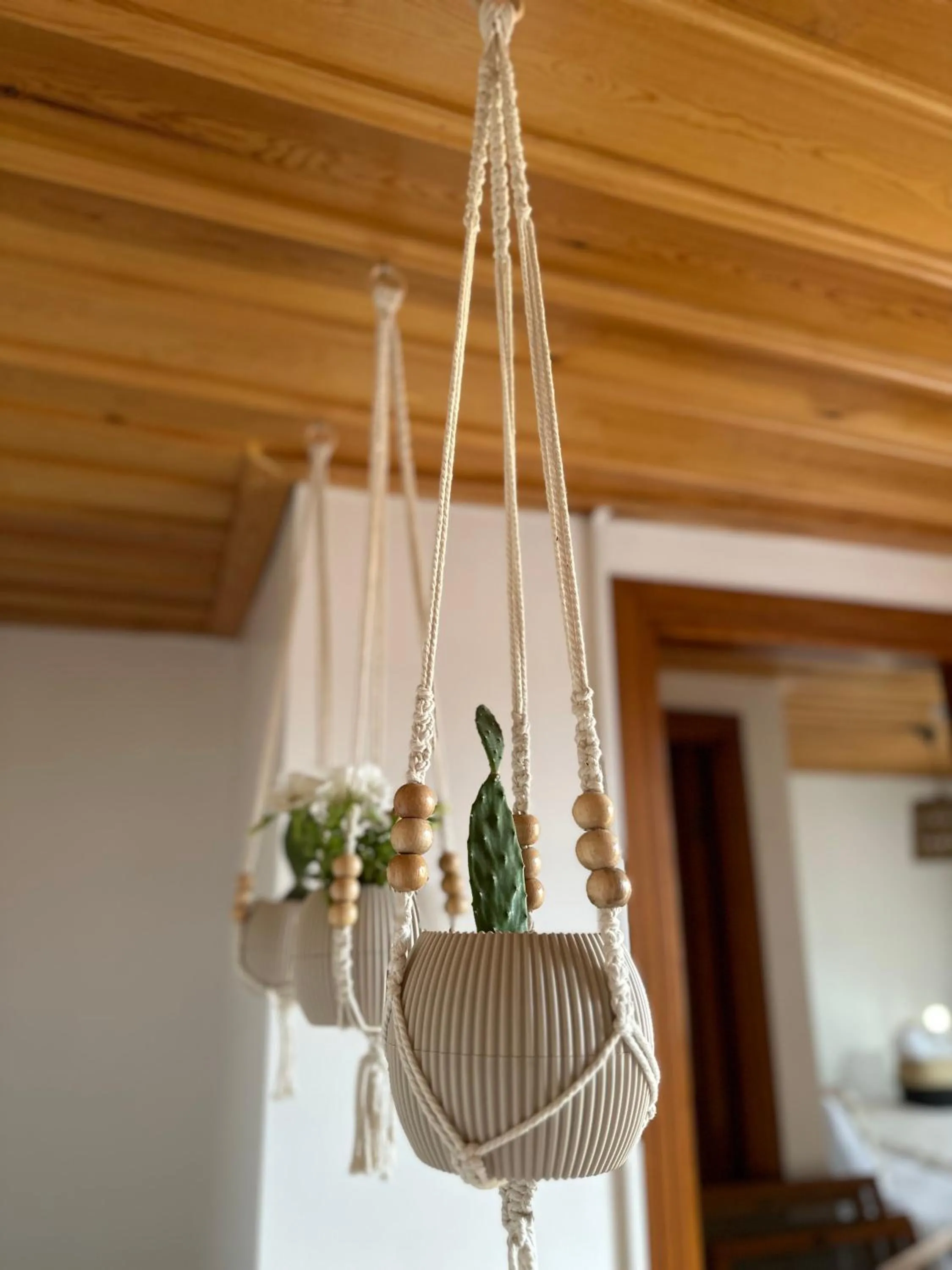 Property building in Hanole Guest House