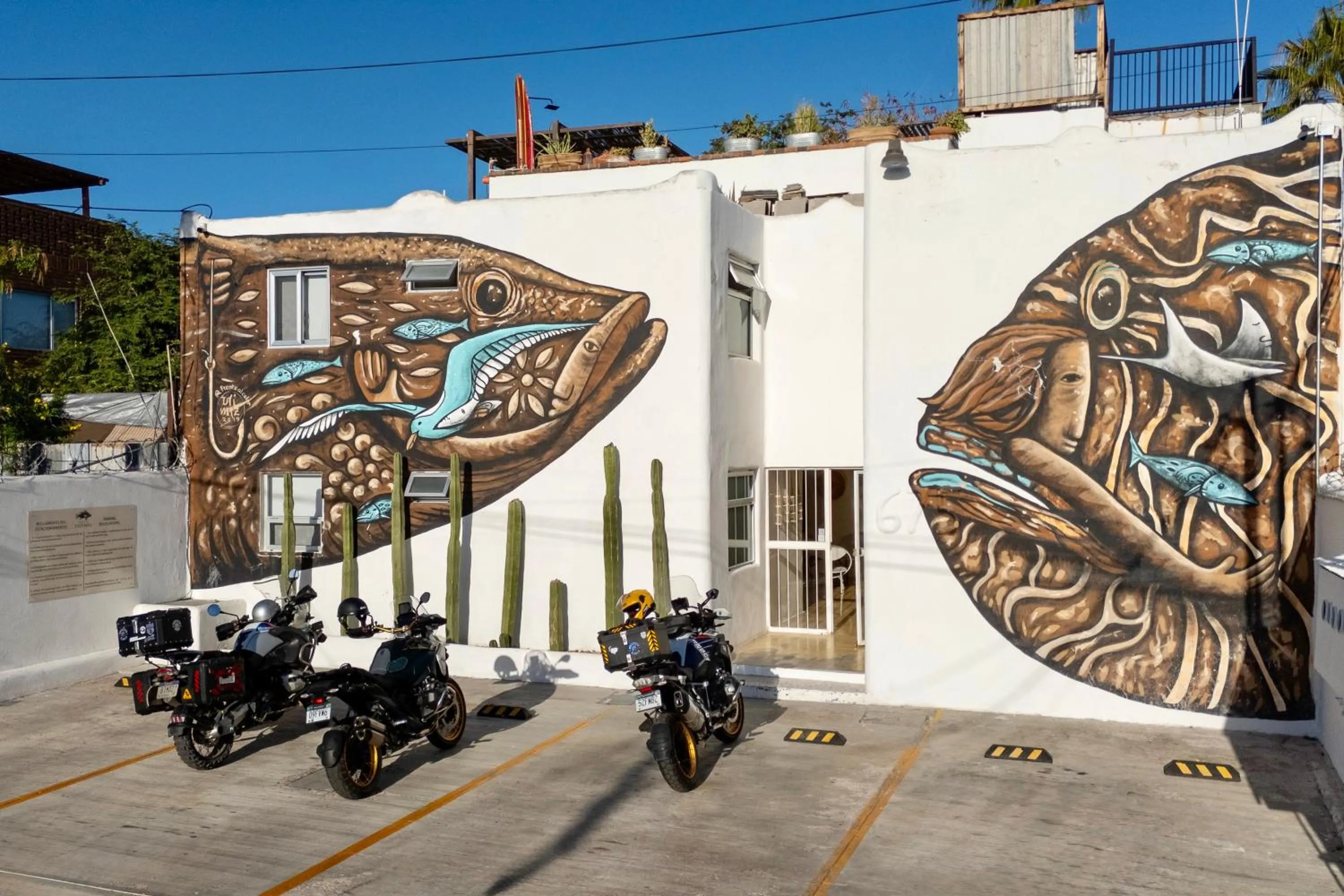 Villa Esterito - La Paz Baja California Sur
