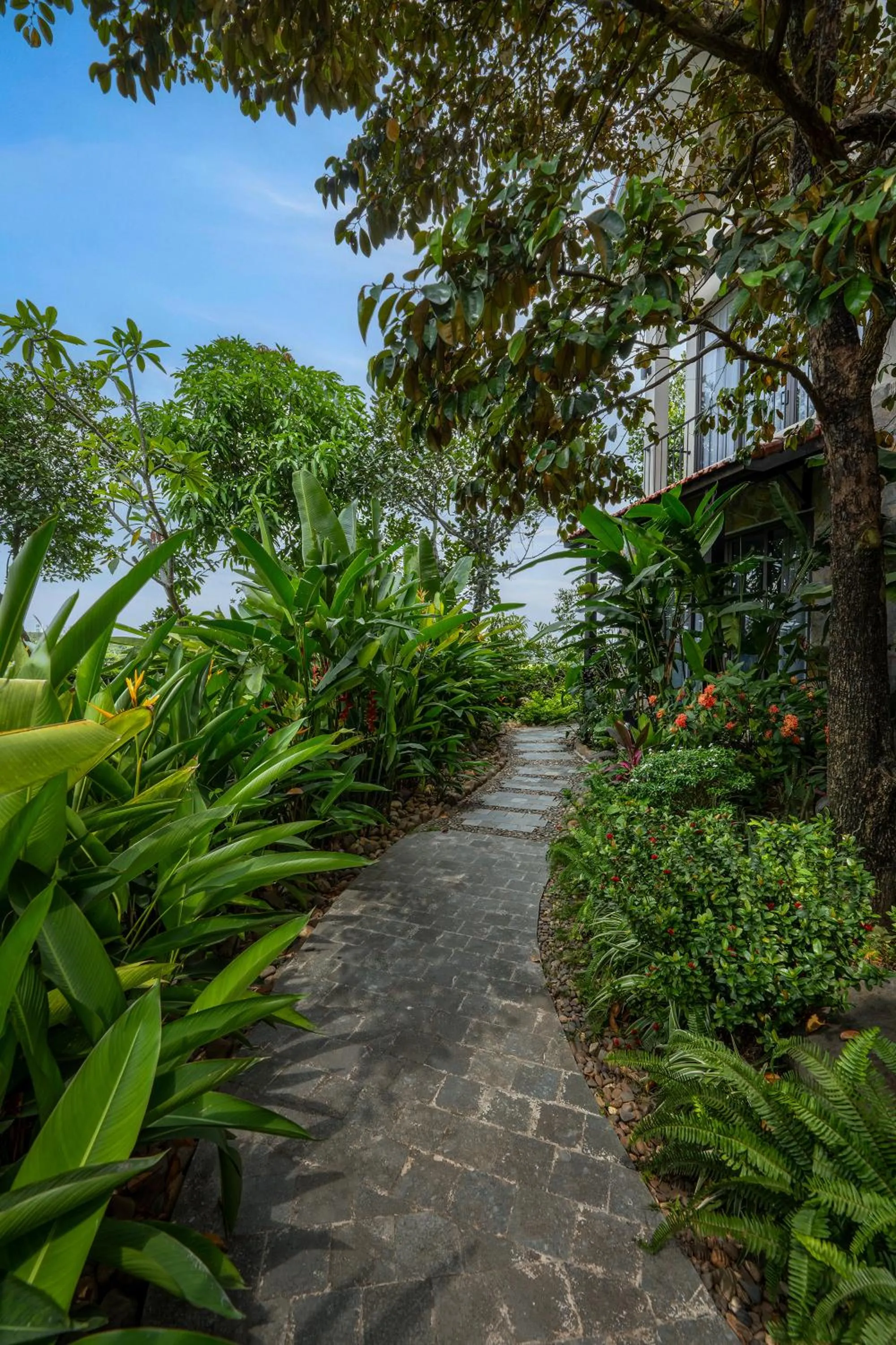 Spring in Coco Island Resort Ninh Binh