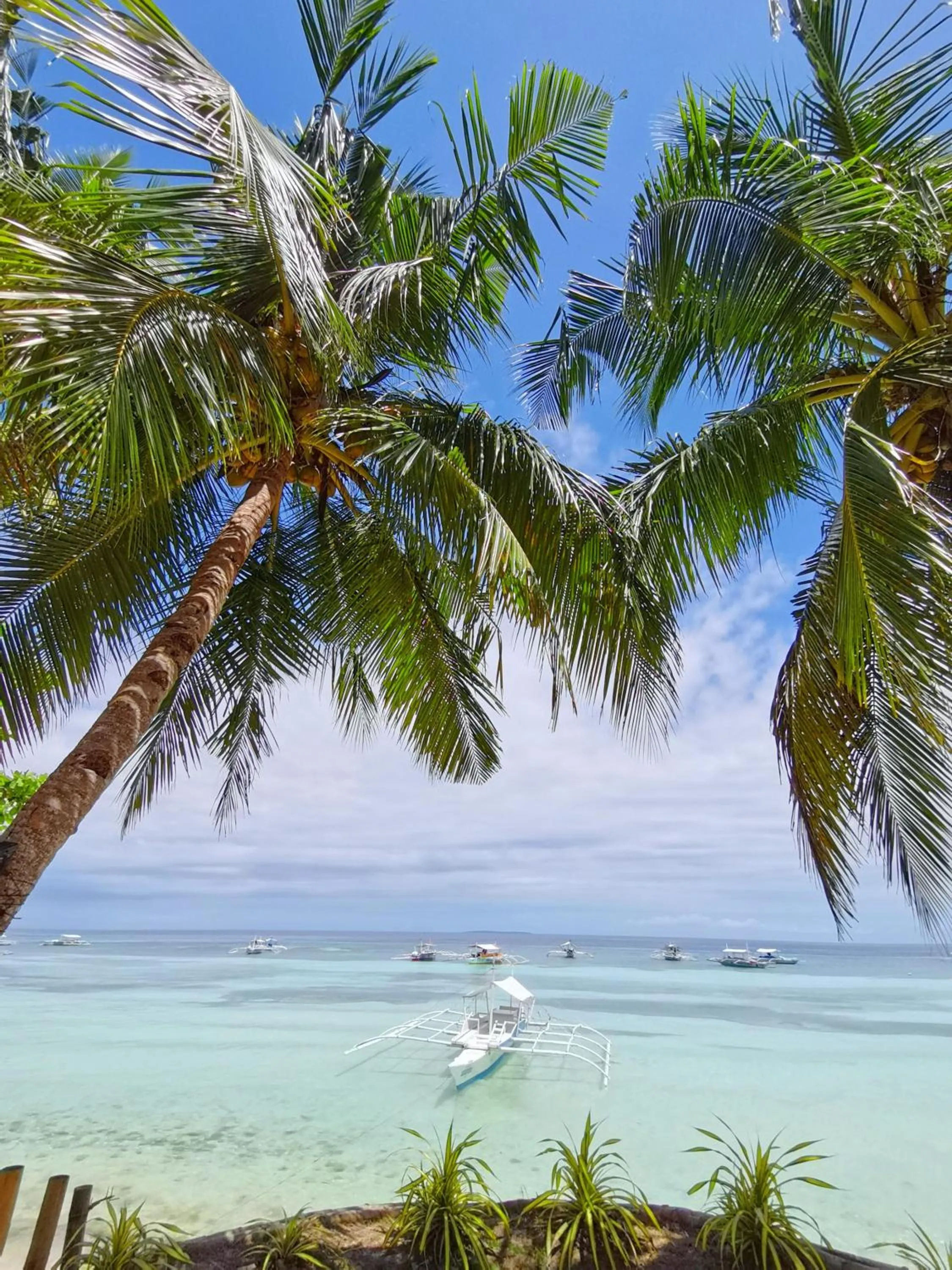 On Board Panglao Beach Hostel & Resort with FREE MOTORBIKE