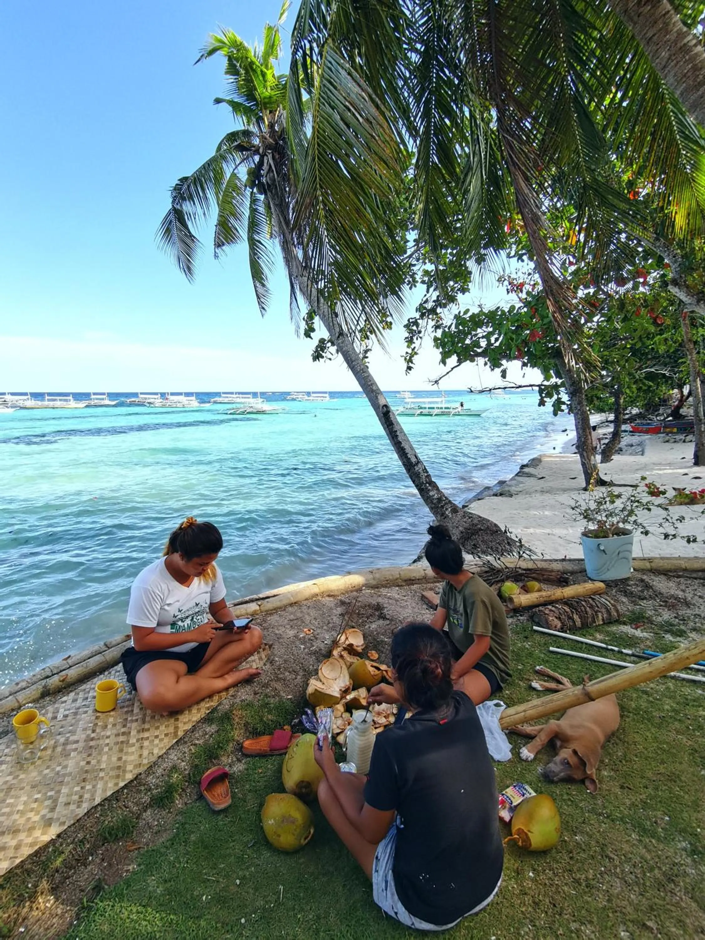 On Board Panglao Beach Hostel & Resort with FREE MOTORBIKE