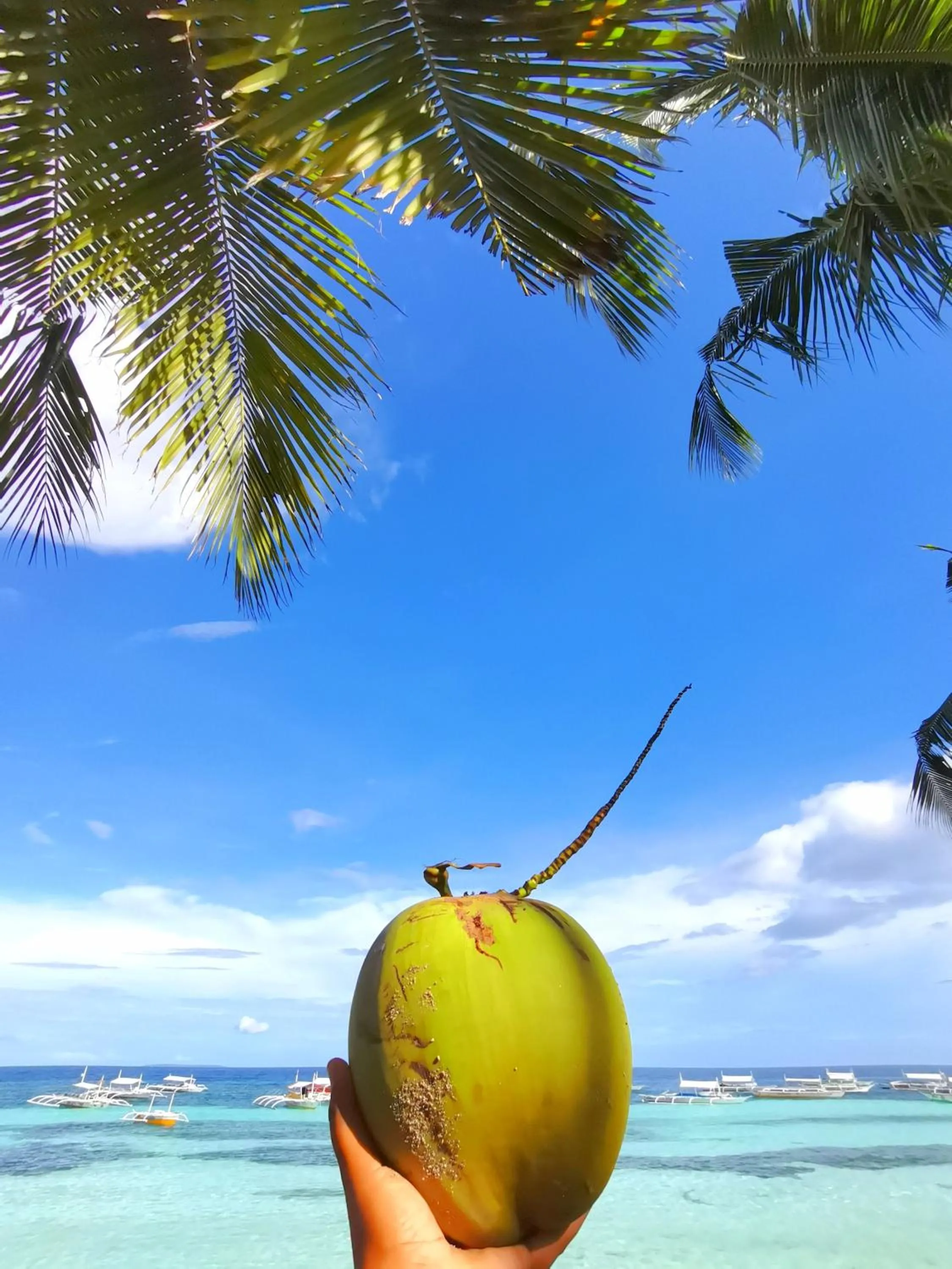 On Board Panglao Beach Hostel & Resort with FREE MOTORBIKE