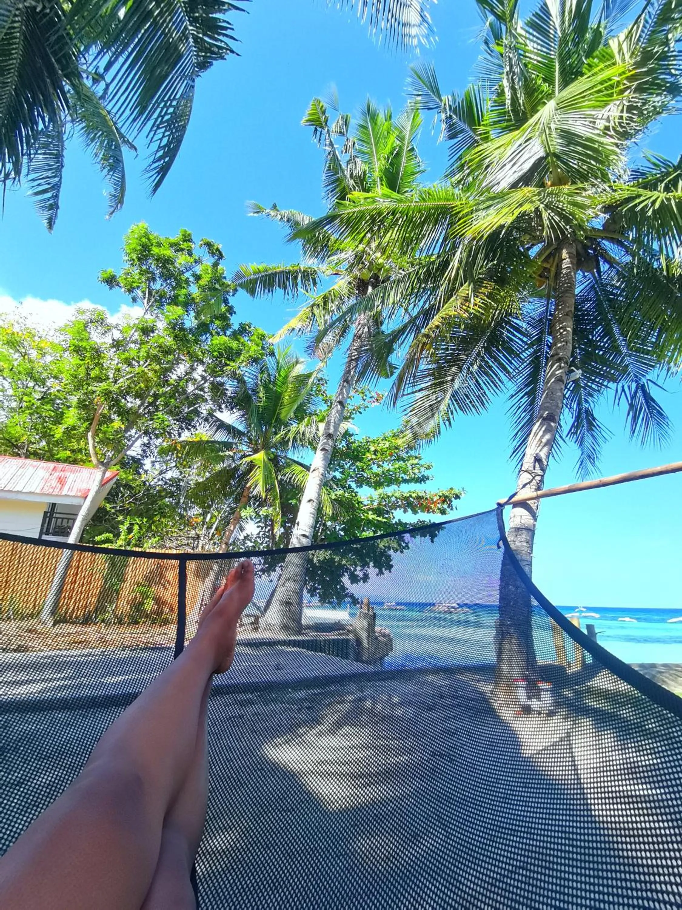 On Board Panglao Beach Hostel & Resort with FREE MOTORBIKE