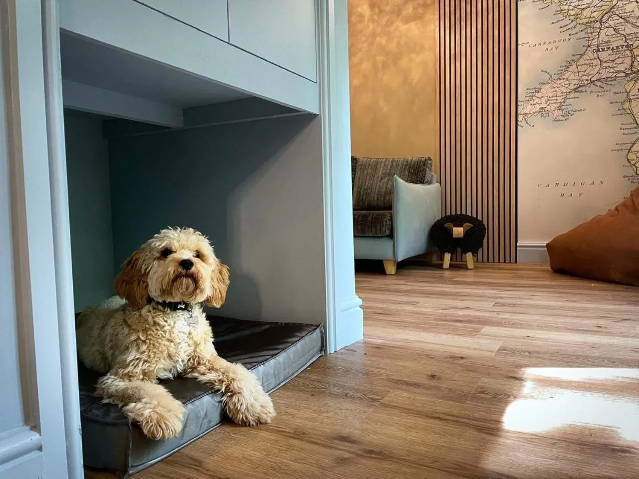 Pets in The Waterloo Hotel