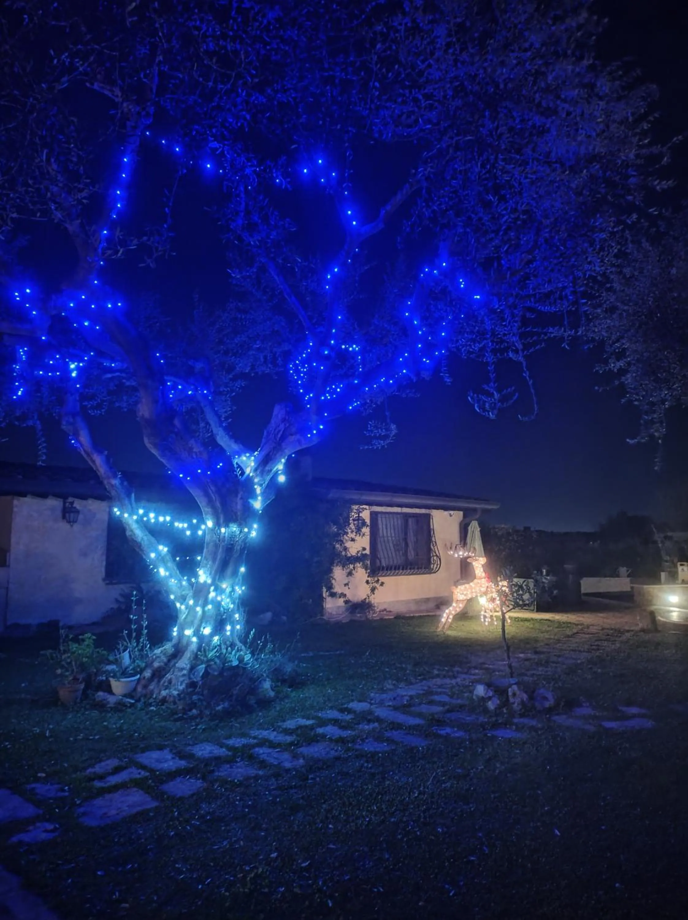 Garden in La Valle dei Casali B&B Green Boutique