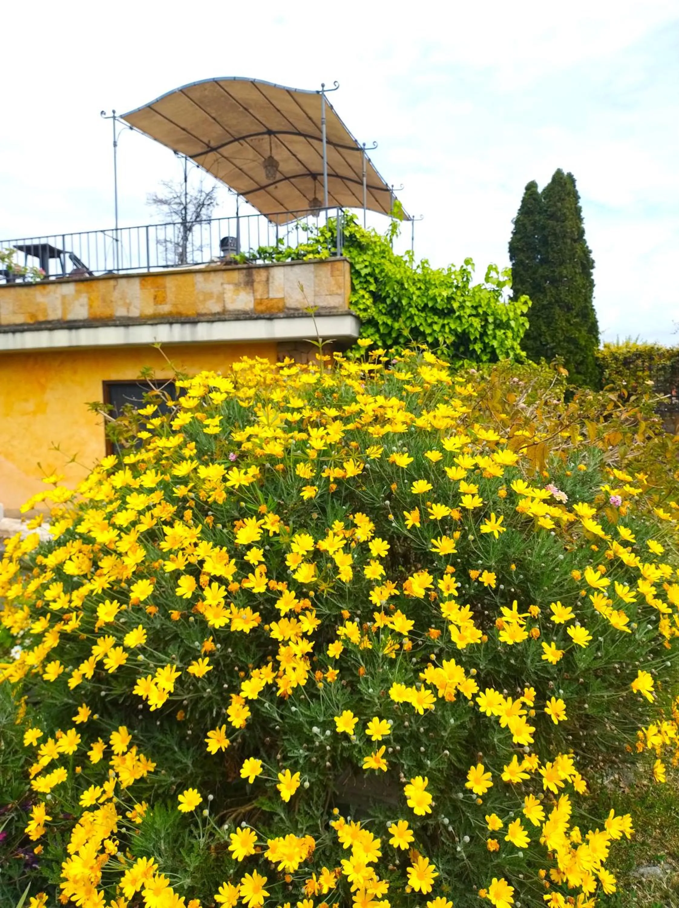 La Valle dei Casali B&B Green Boutique