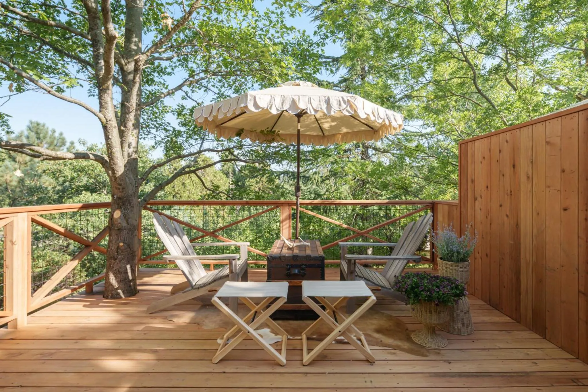 Spring in Orchard Hill