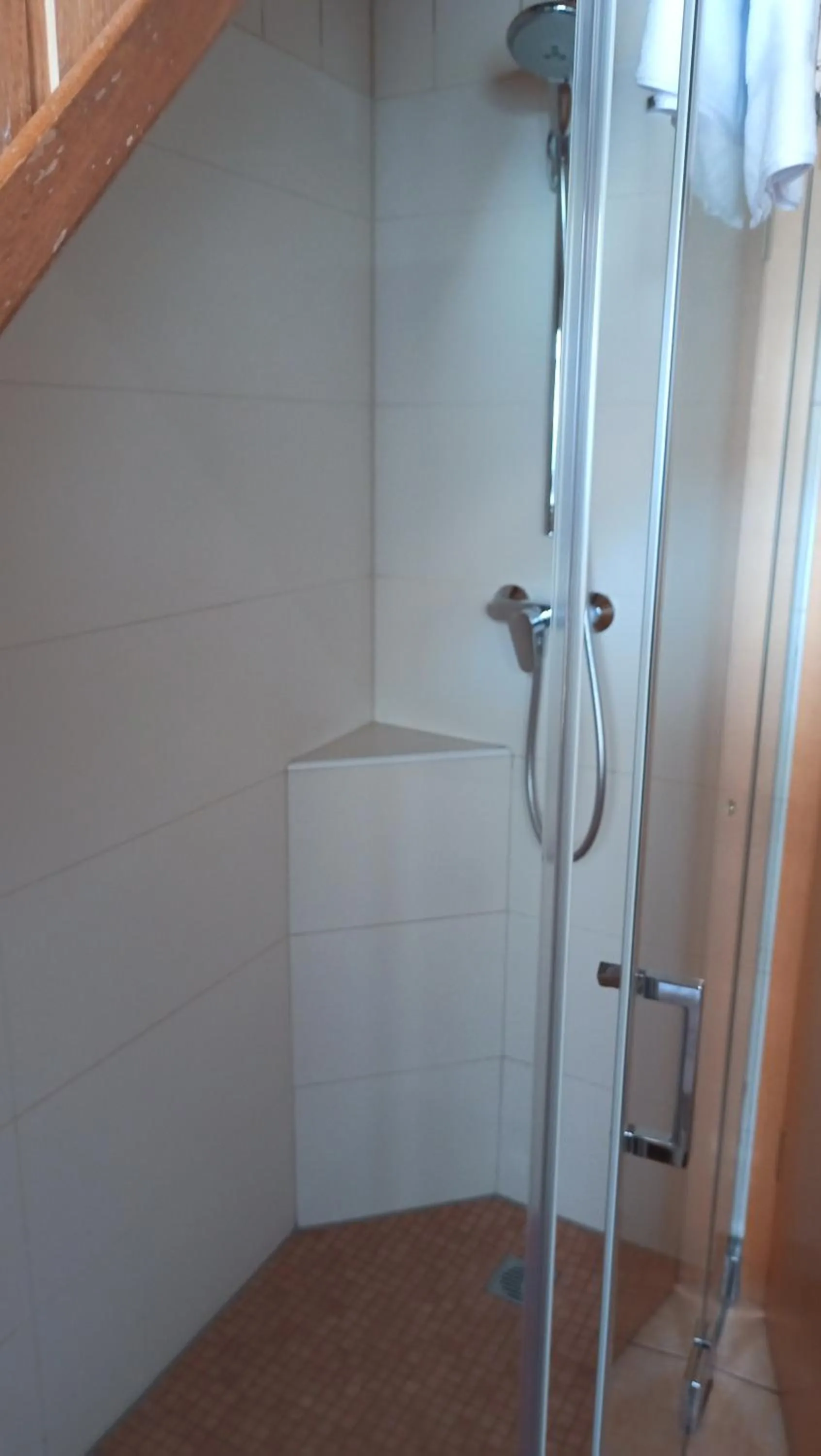 Shower in Gasthof Hirsch