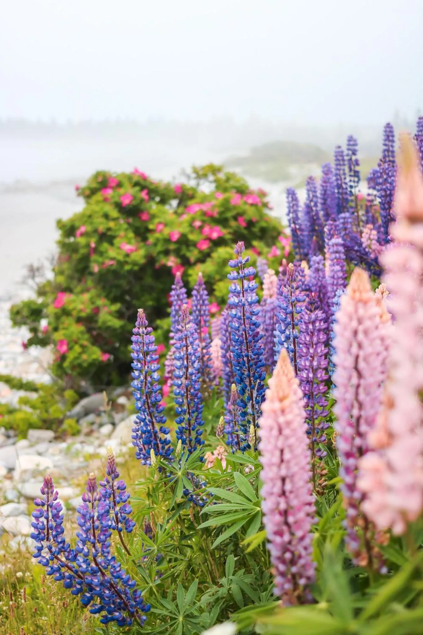 Natural landscape in White Point Beach Resort