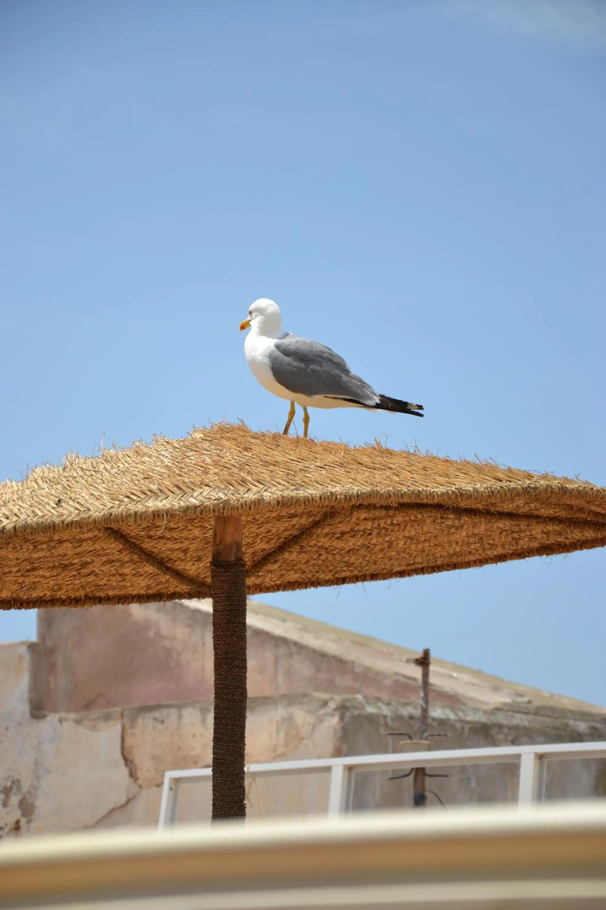 Other in Hotel Riad Ben Atar