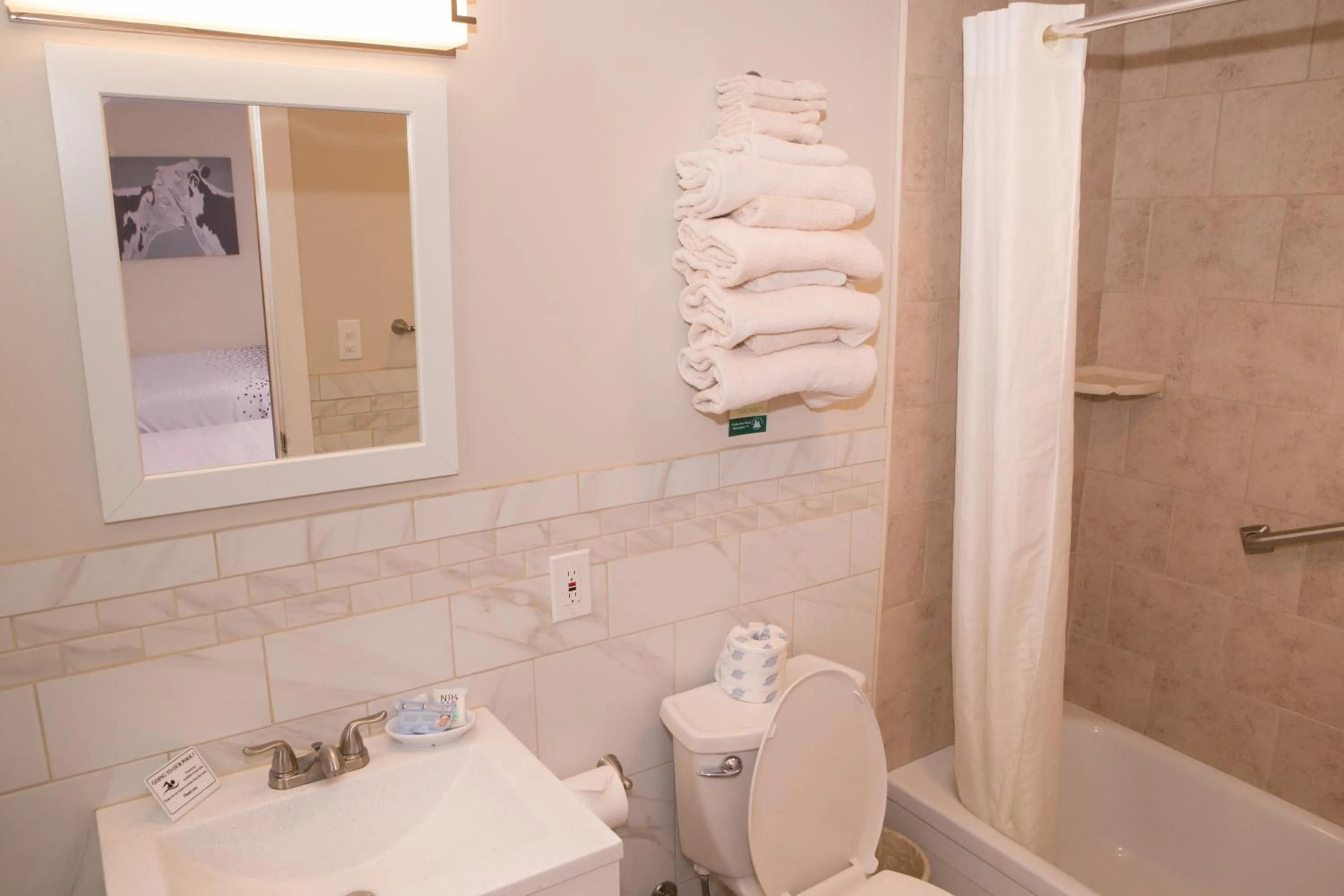 Bathroom in Knotty Pine Motel